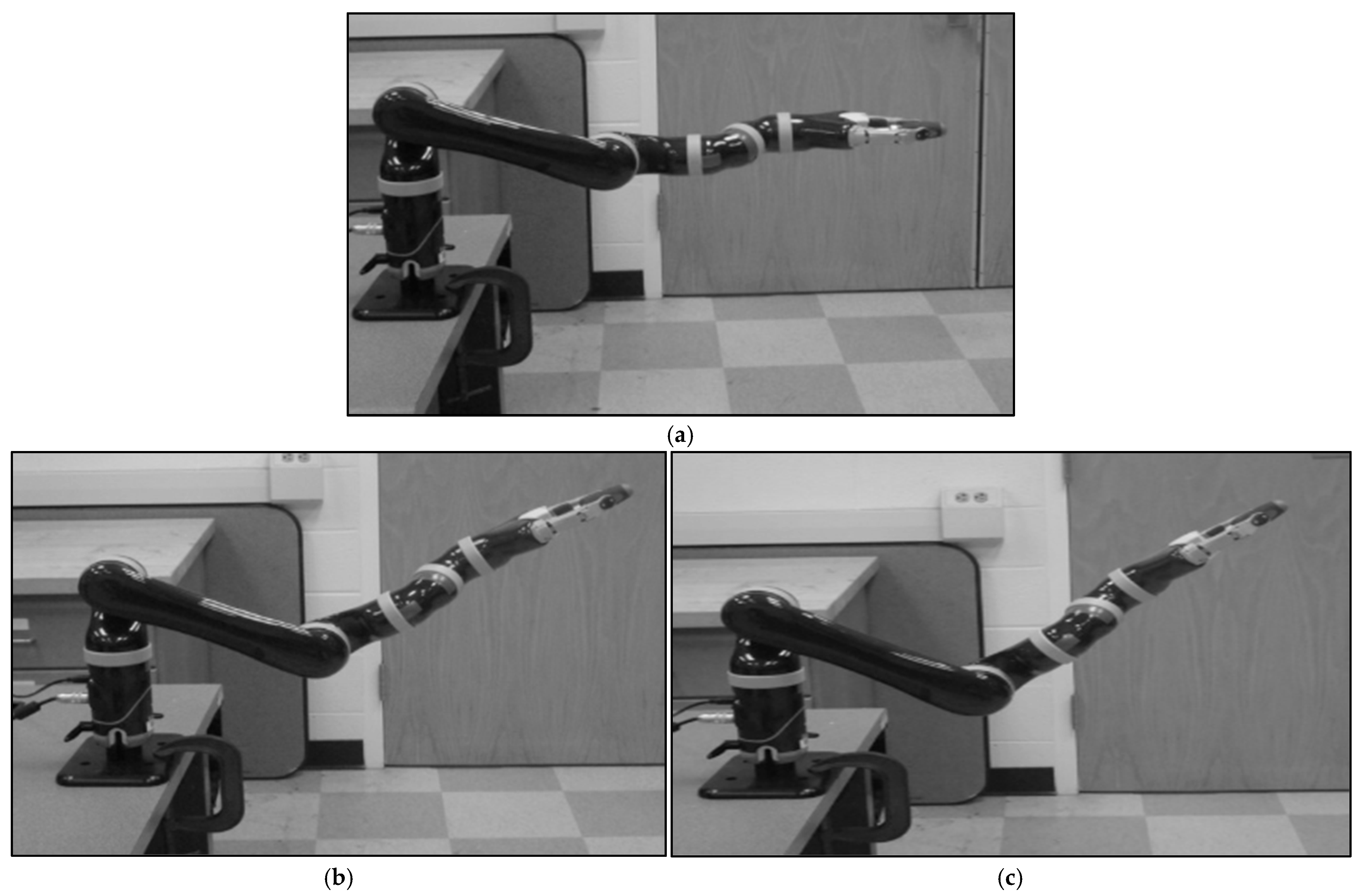Biomimetics 11 00014 g002