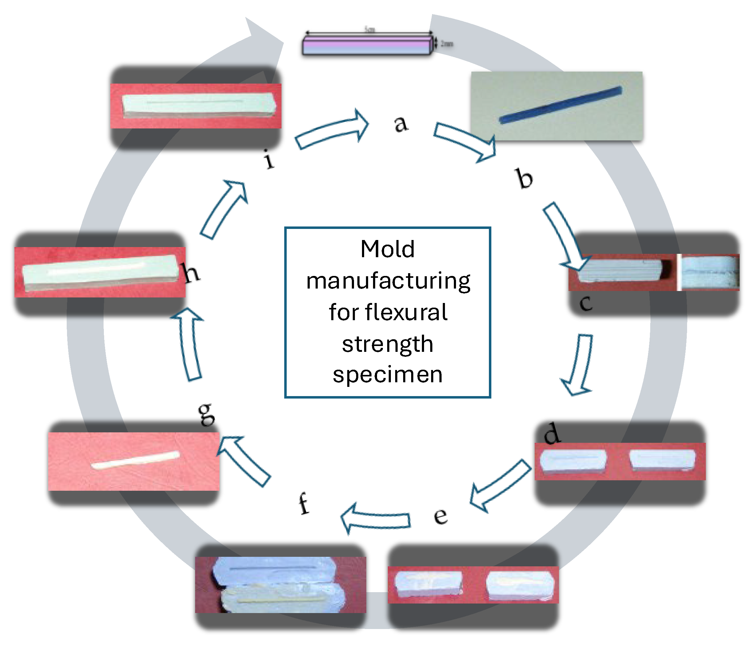 Biomimetics 11 00016 g002