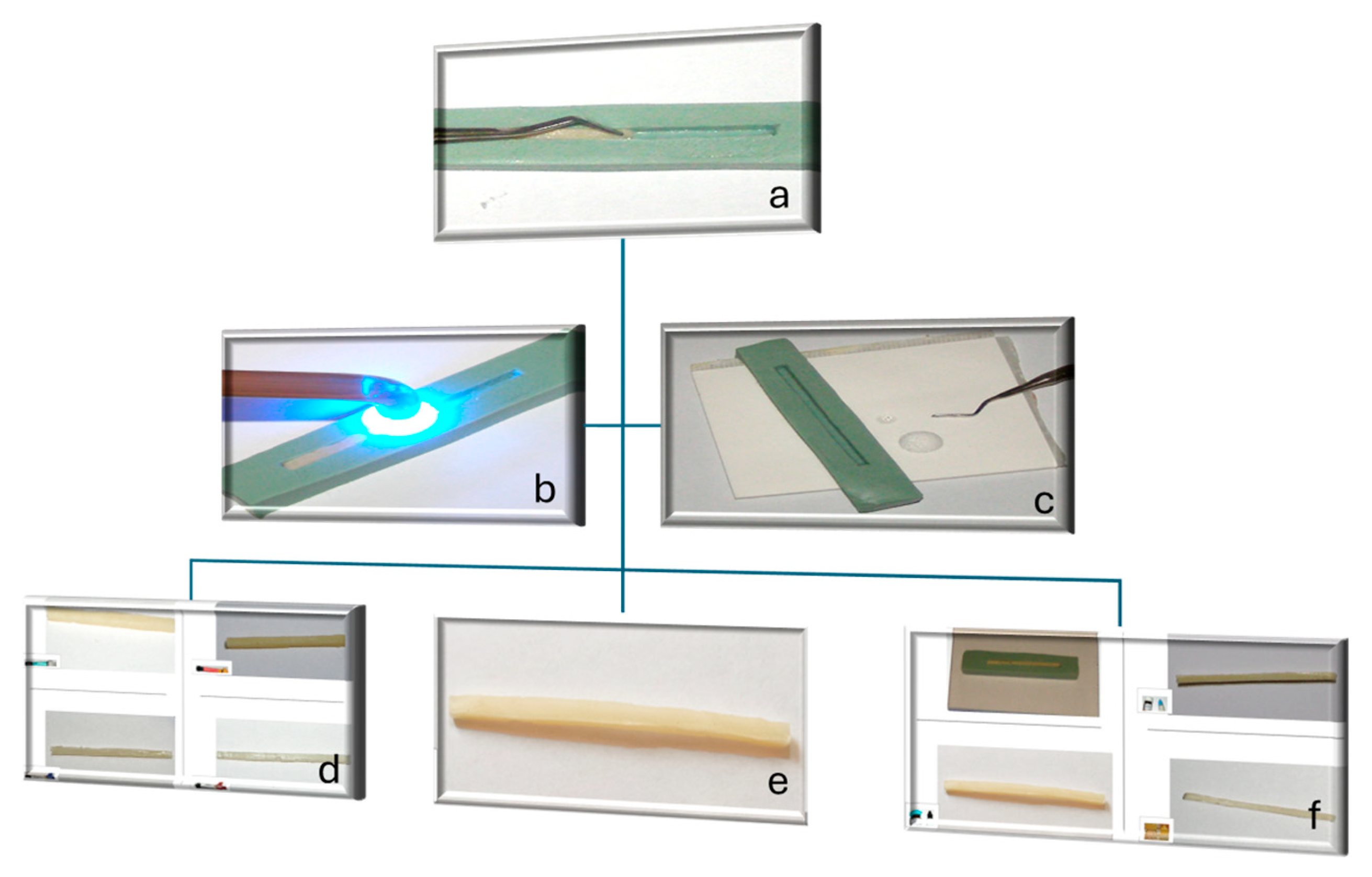 Biomimetics 11 00016 g003