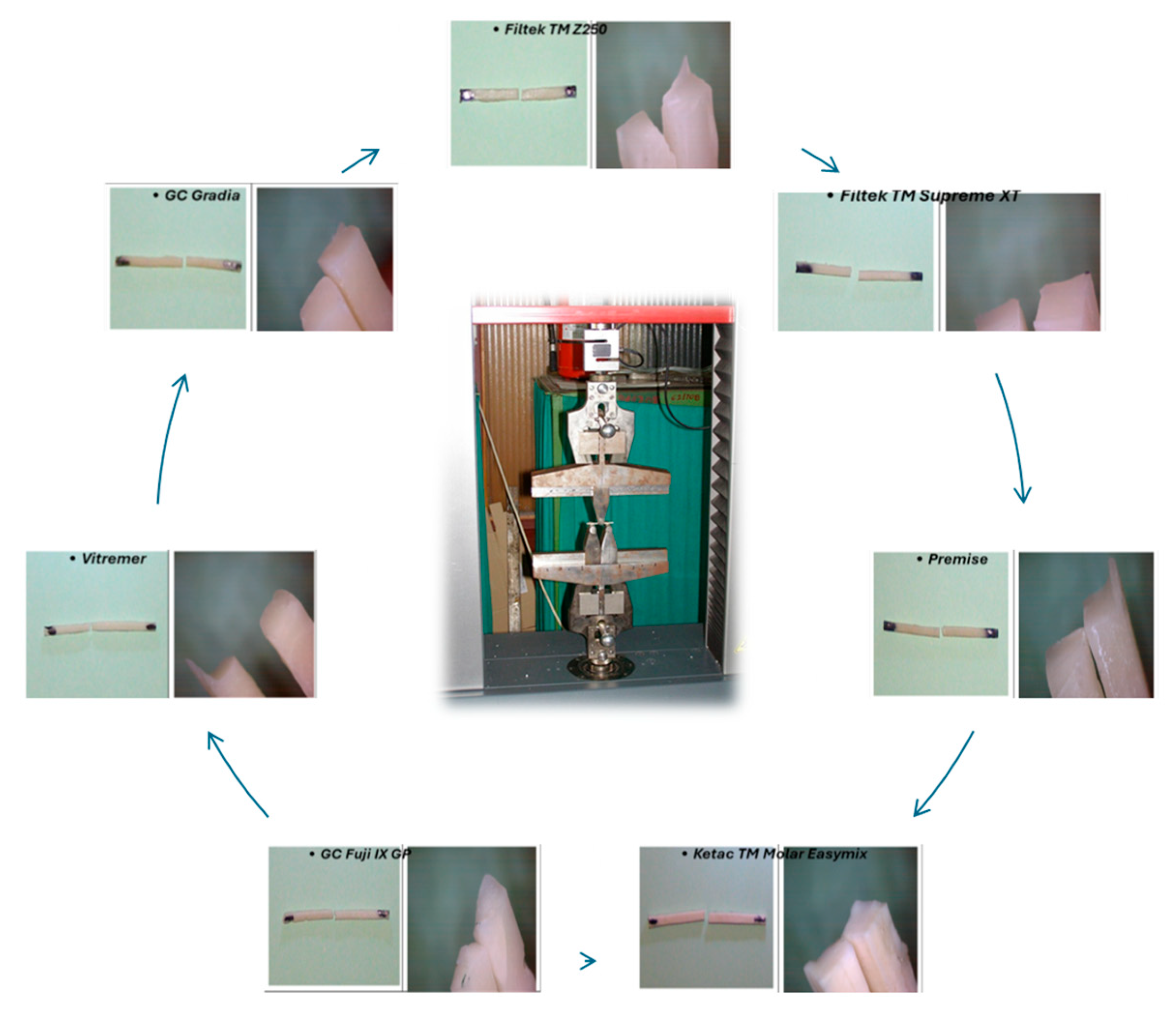 Biomimetics 11 00016 g004