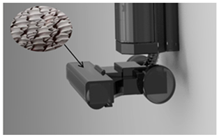 Biomimetics 11 00023 i001