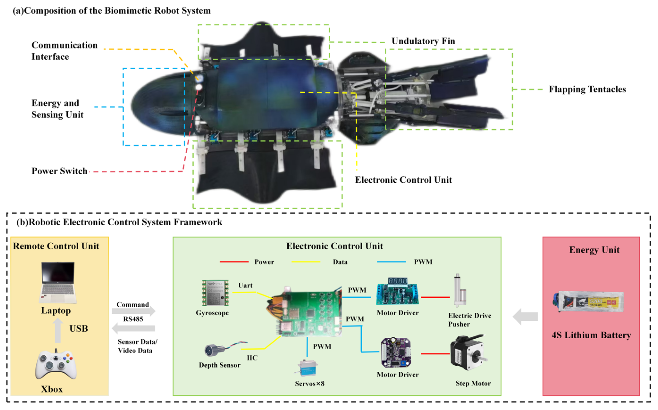 Hybrid-Actuated Multimodal Cephalopod-Inspired Underwater Robot