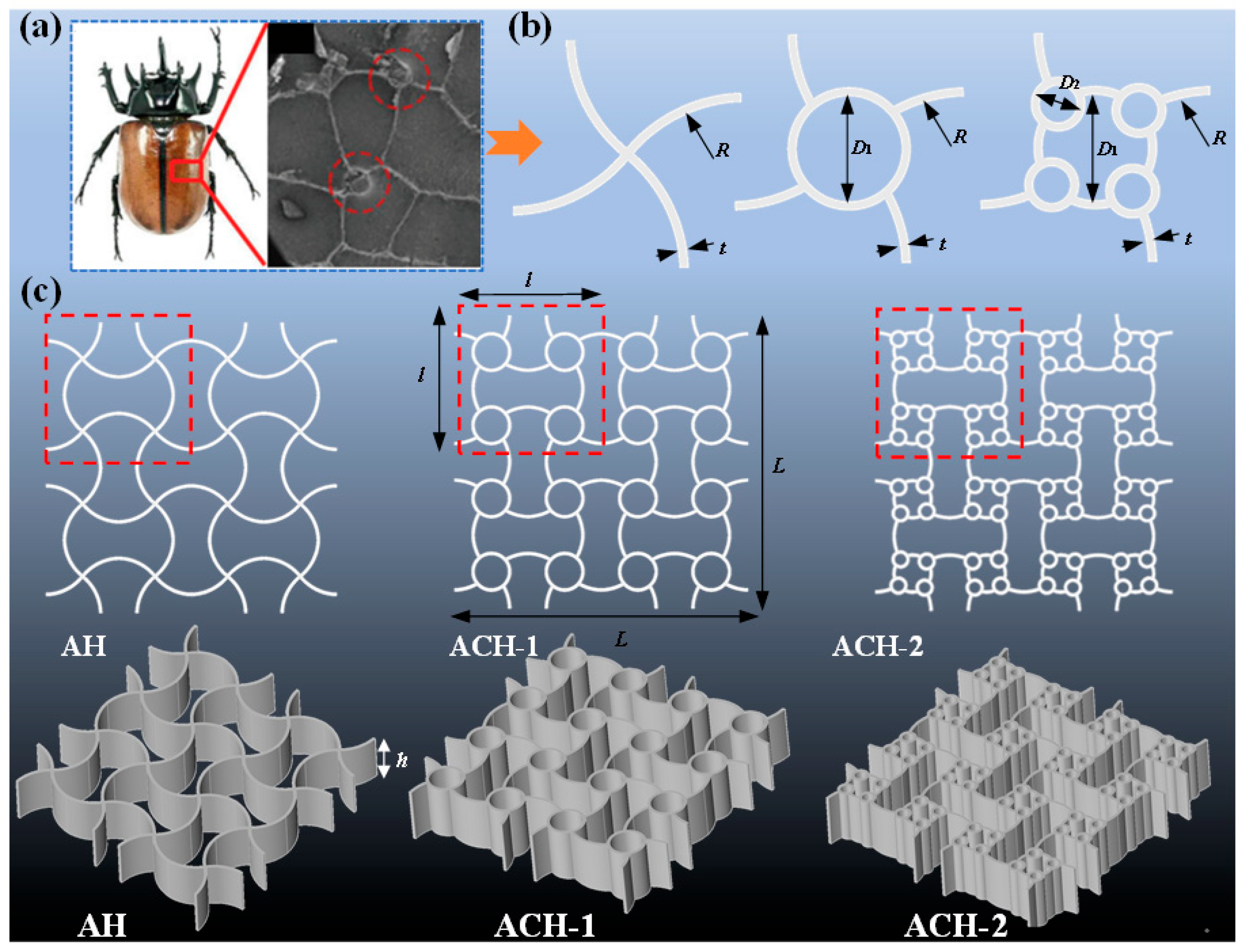 Biomimetics 11 00033 g001