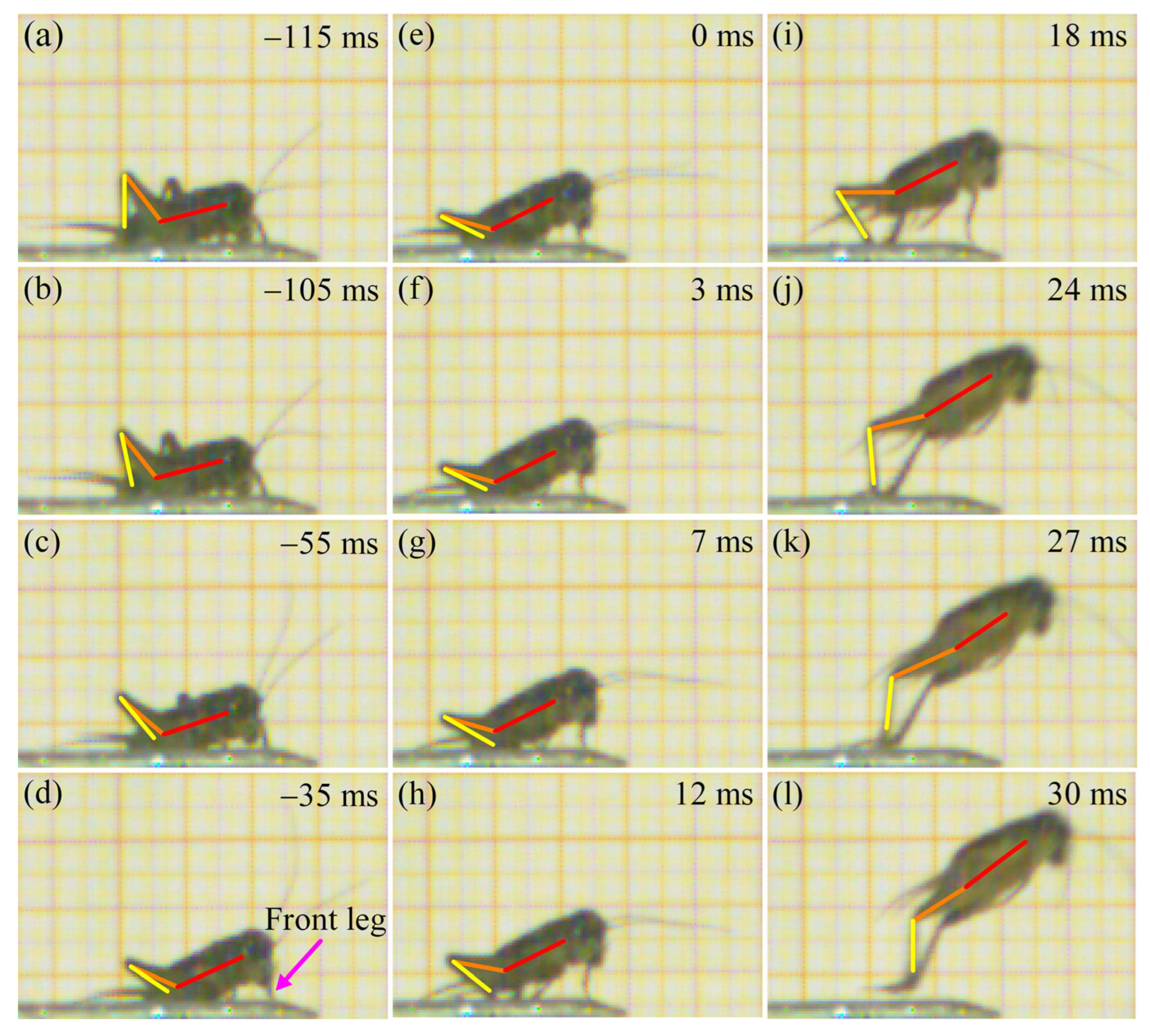 Biomimetics 11 00049 g004