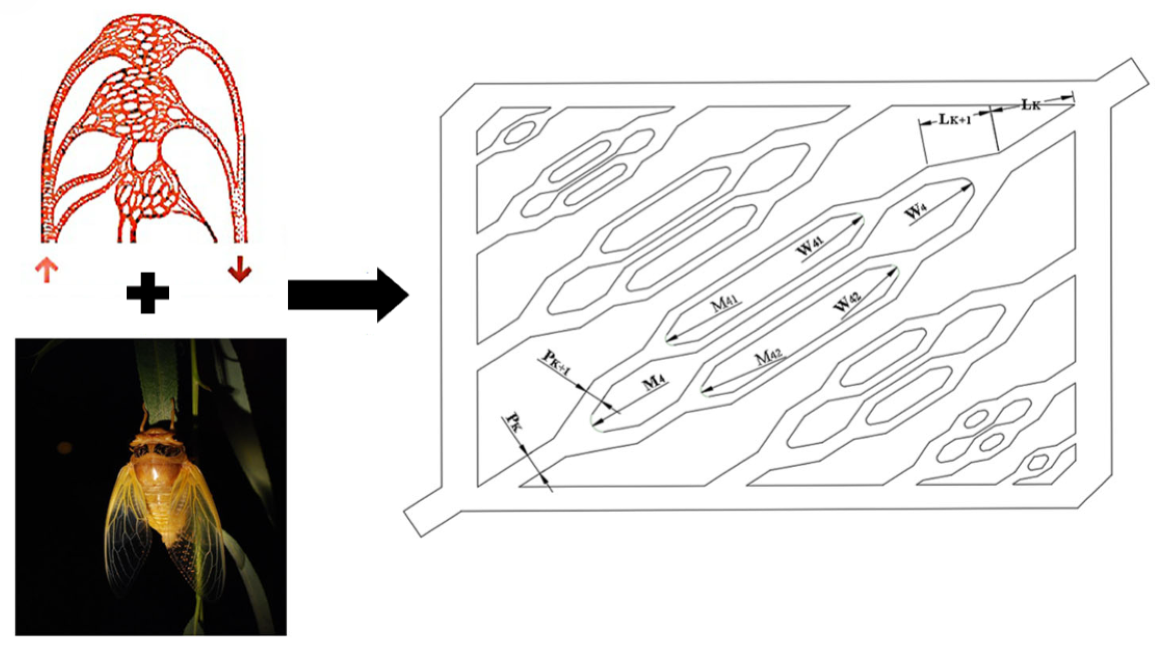 Biomimetics 11 00076 g005 Biomimetics 11 00076 g005