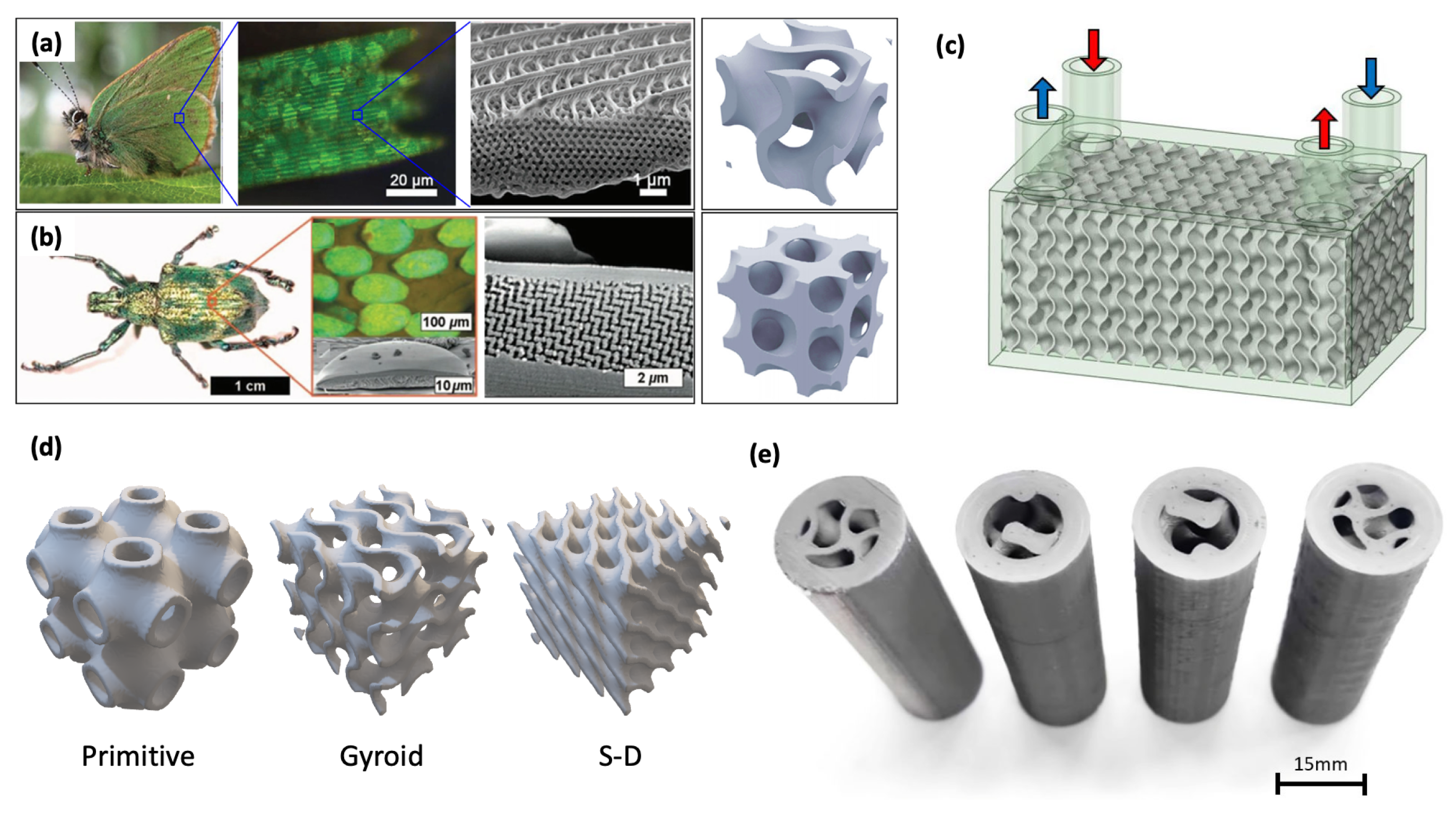 Biomimetics 11 00076 g006 Biomimetics 11 00076 g006