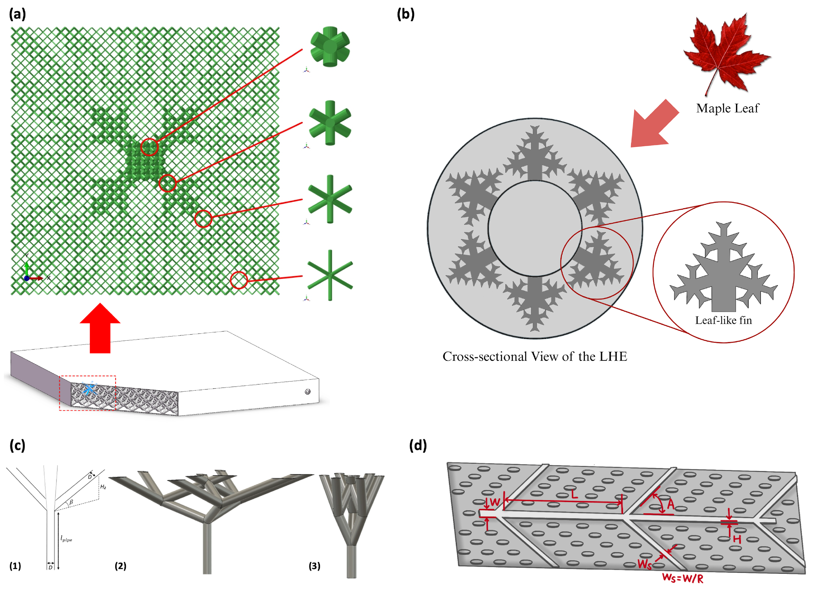 Biomimetics 11 00076 g007 Biomimetics 11 00076 g007