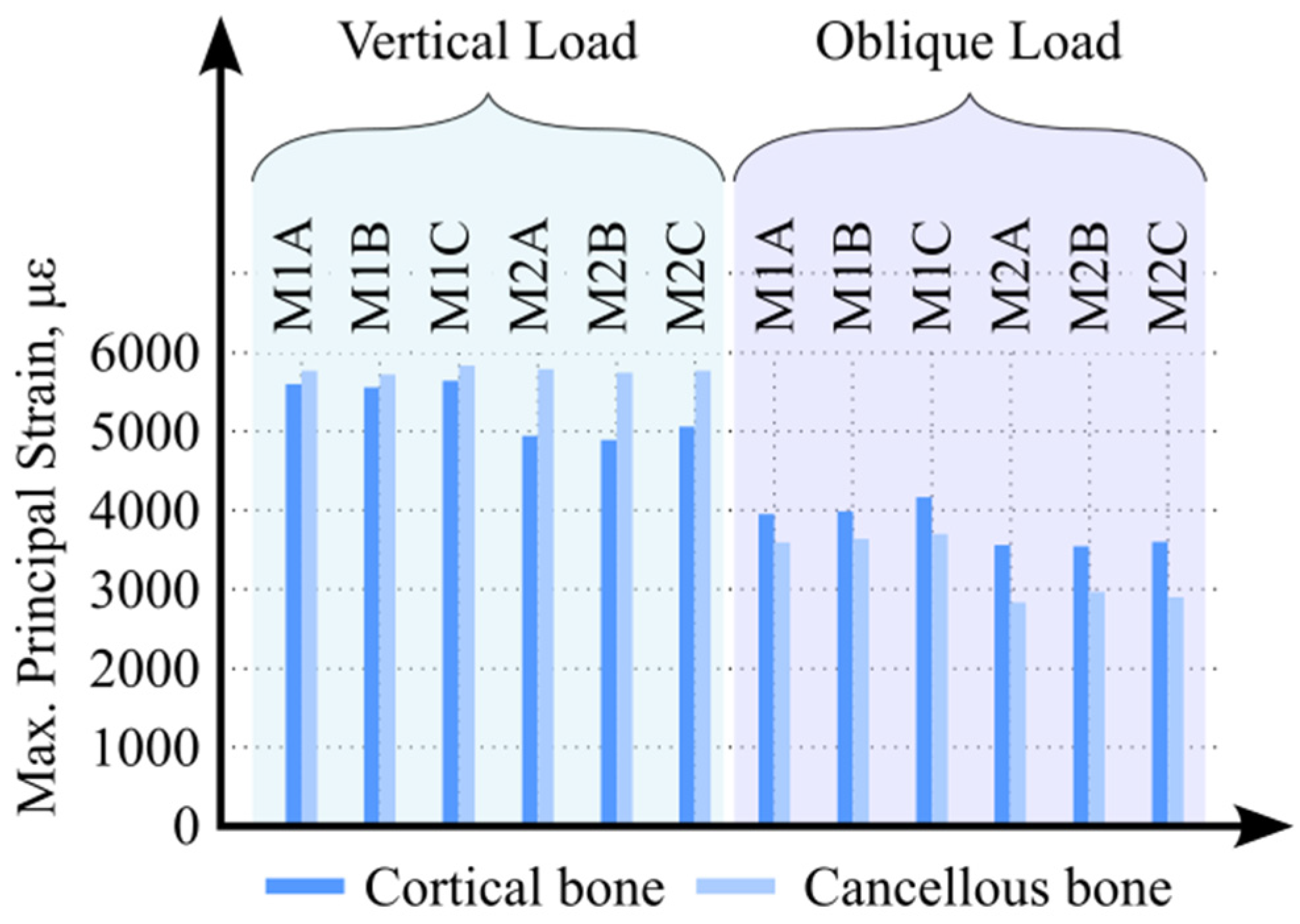 Biomimetics 11 00089 g004