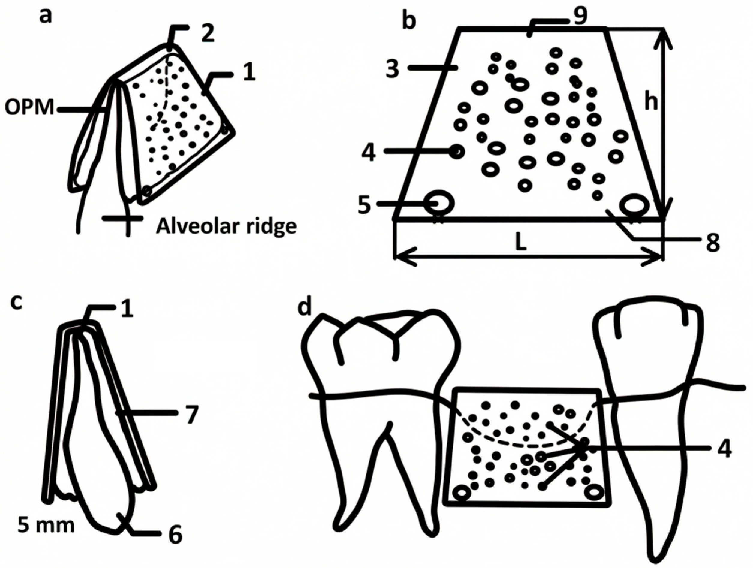 Biomimetics 11 00091 g002