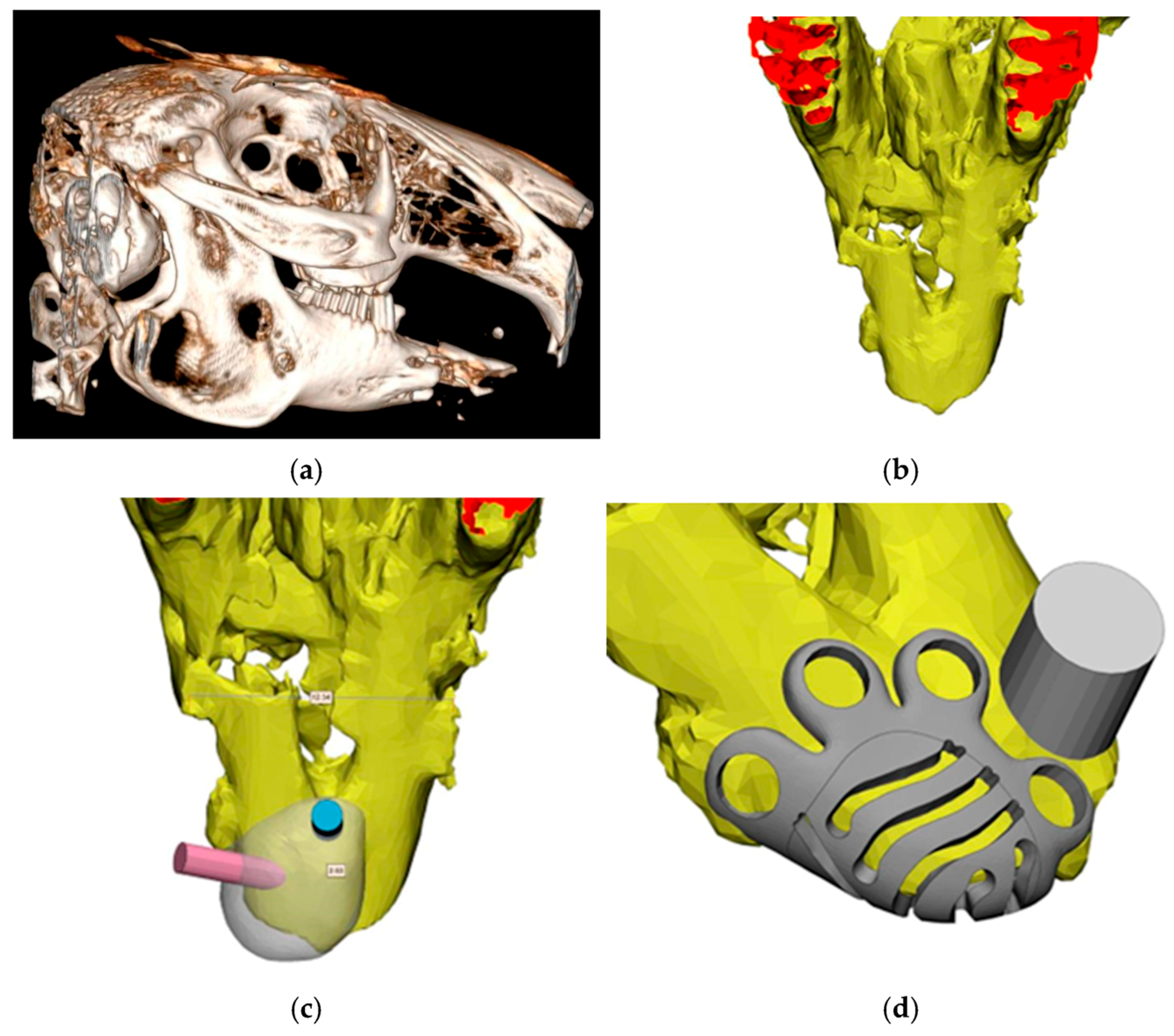 Biomimetics 11 00091 g003a