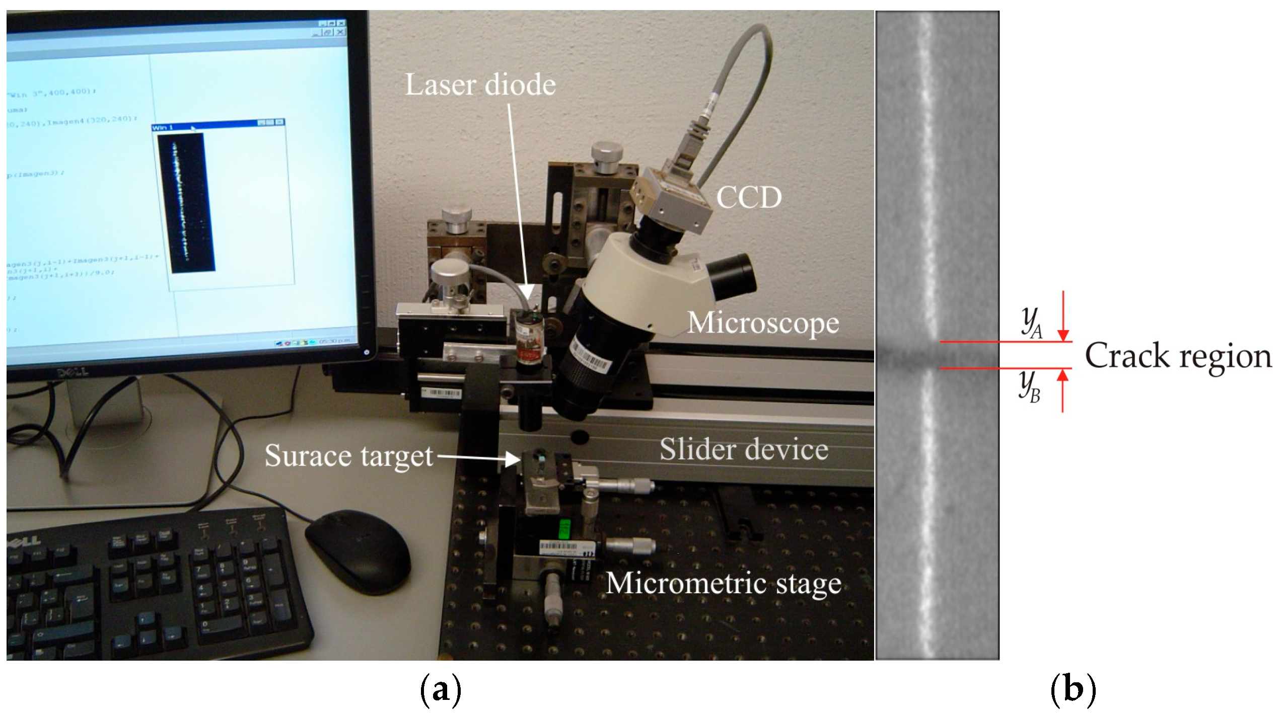 Biomimetics 11 00102 g004