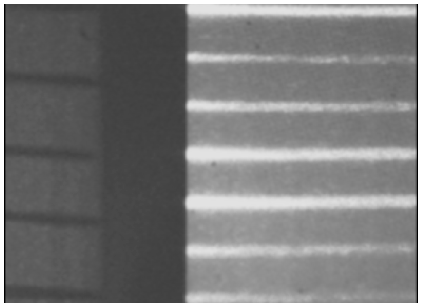 Biomimetics 11 00102 g006