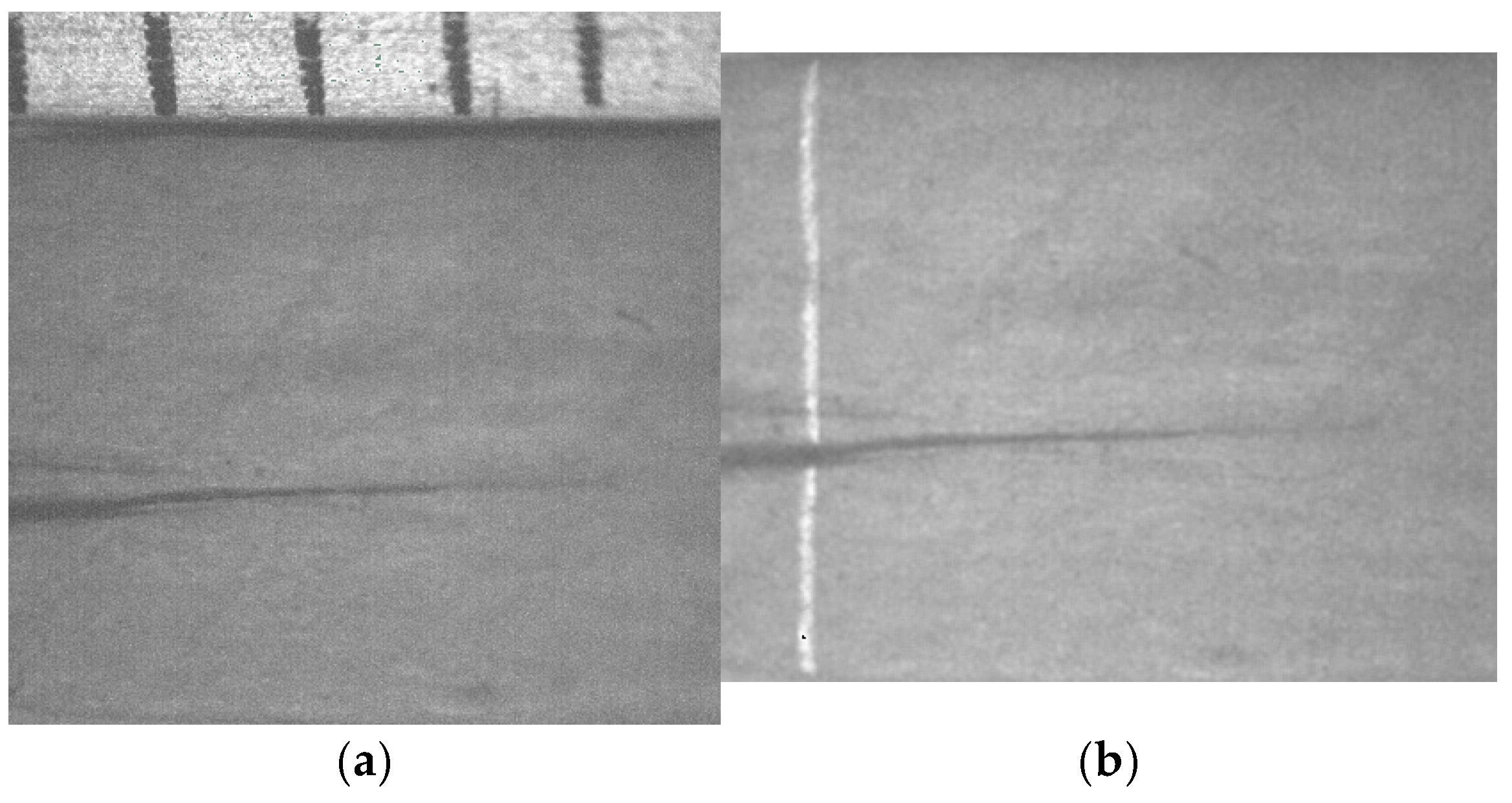 Biomimetics 11 00102 g007