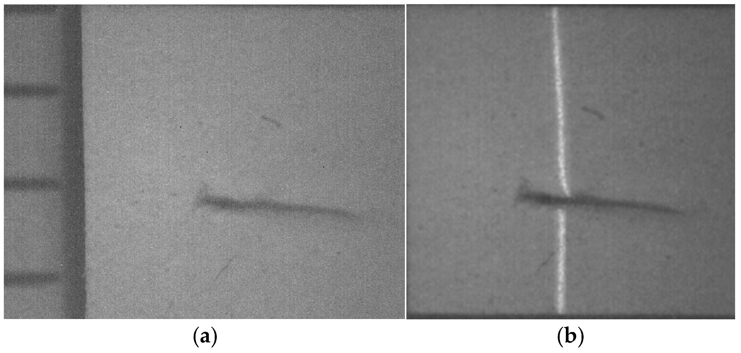 Biomimetics 11 00102 g009