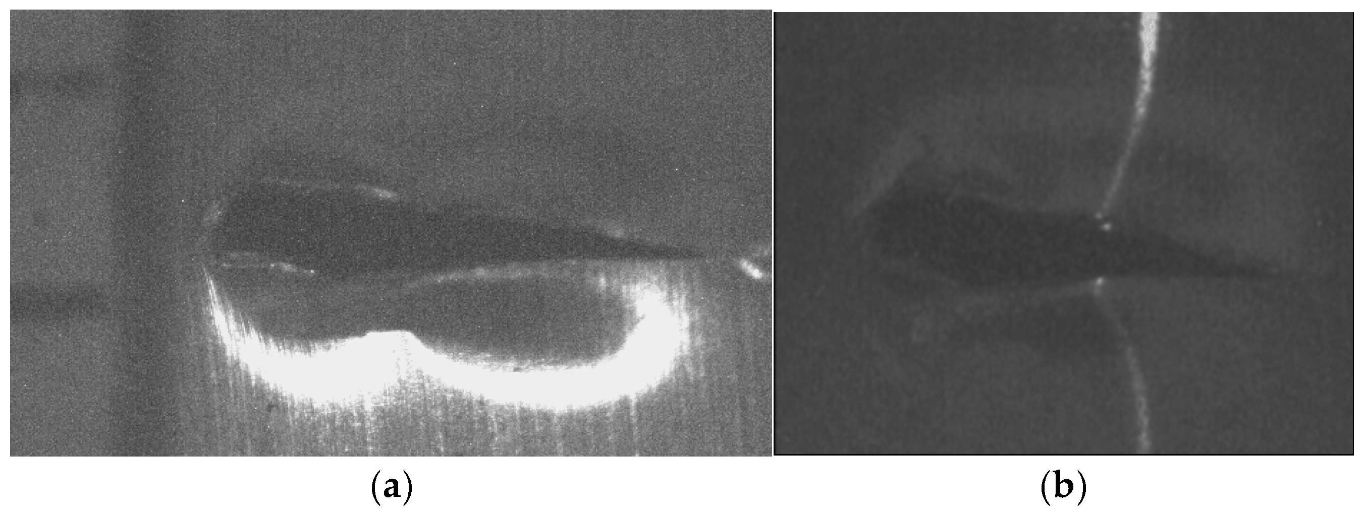 Biomimetics 11 00102 g013