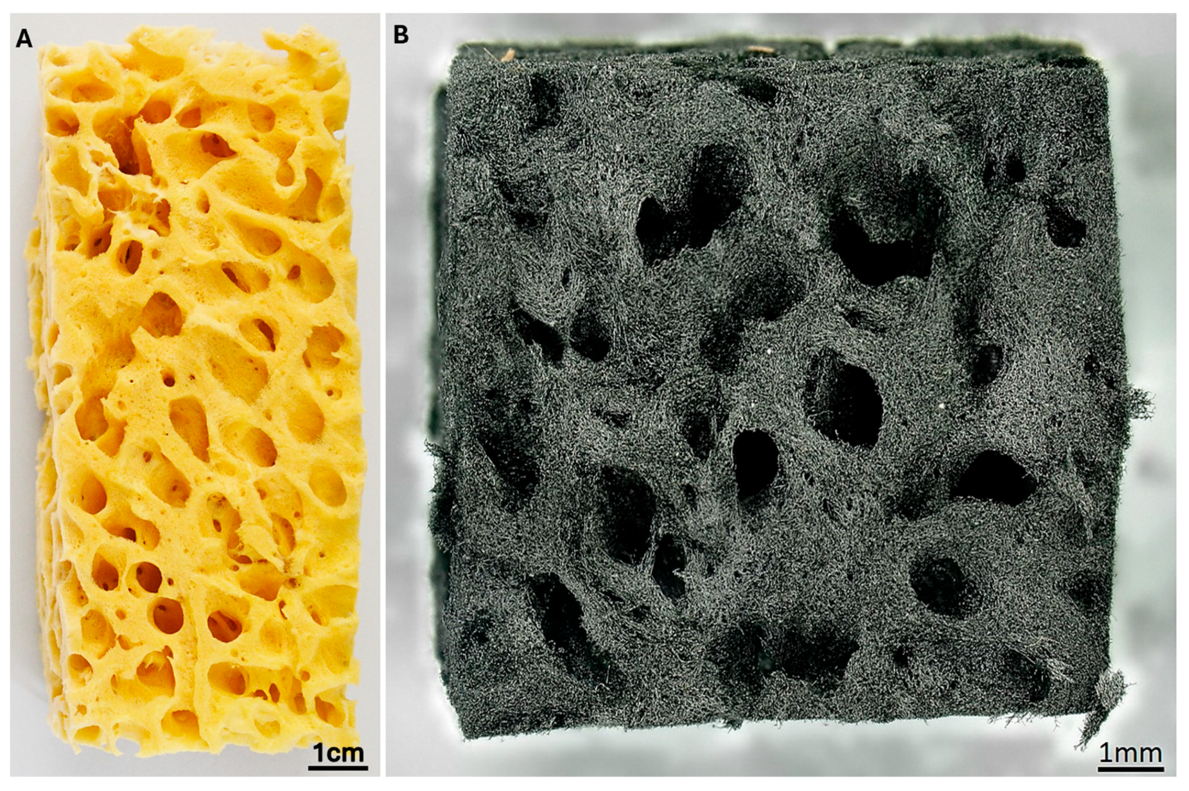 Biomimetics 11 00124 g026