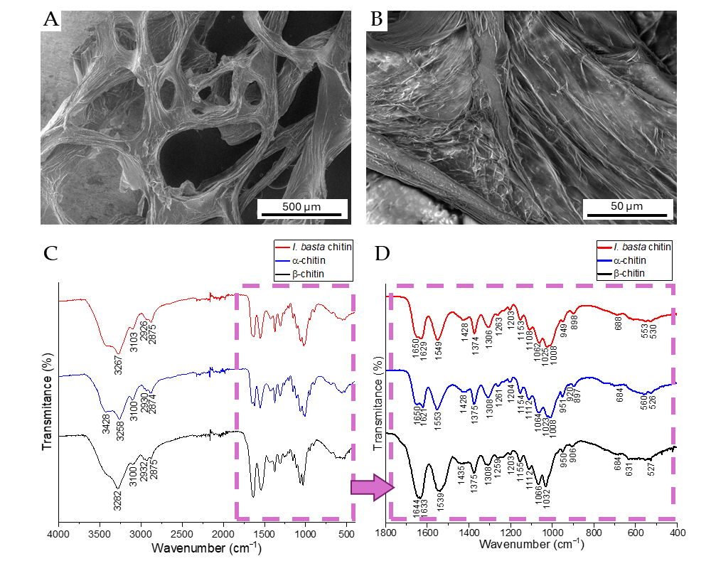 Biomimetics 11 00124 g037