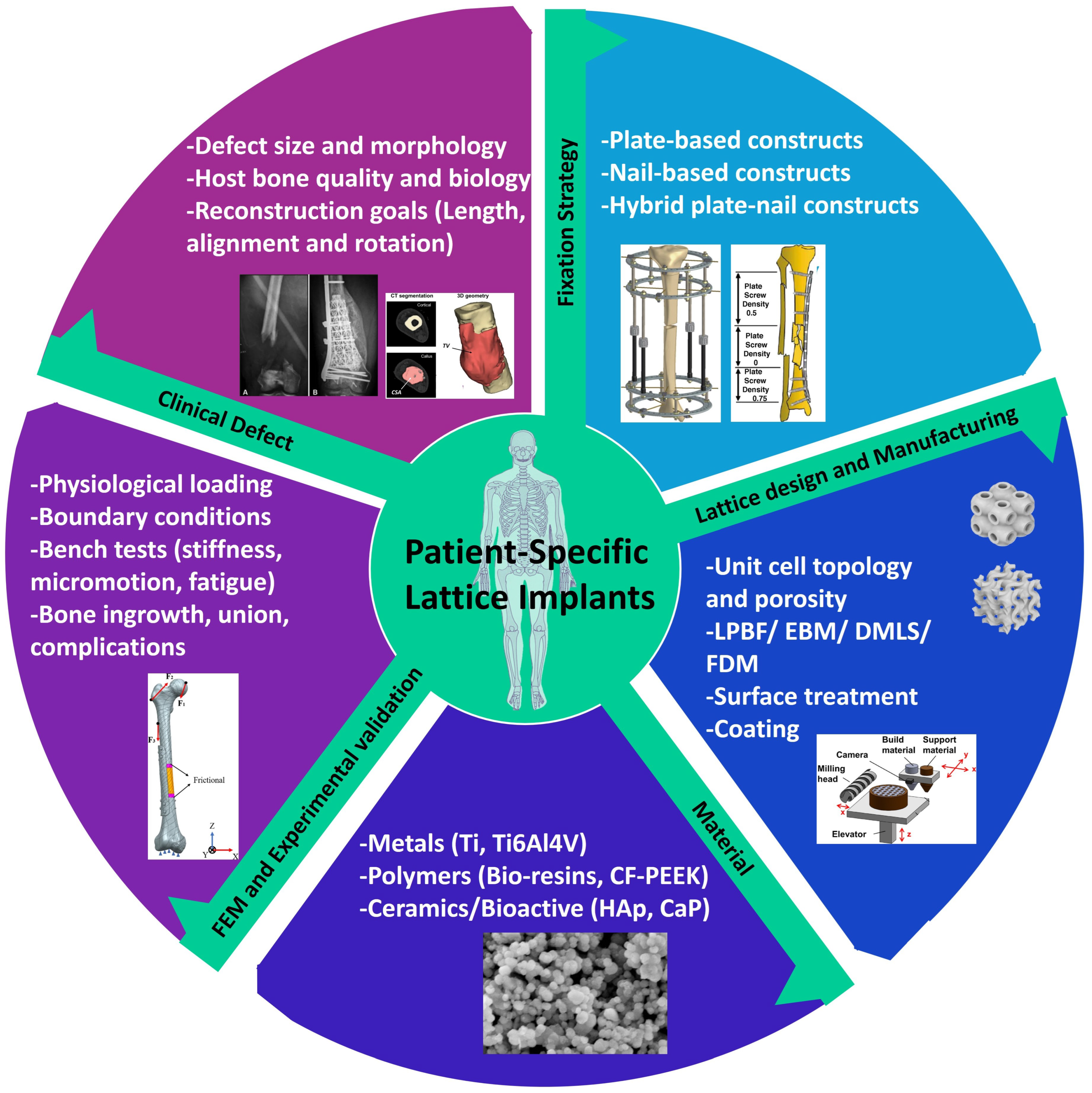 Biomimetics 11 00128 g001