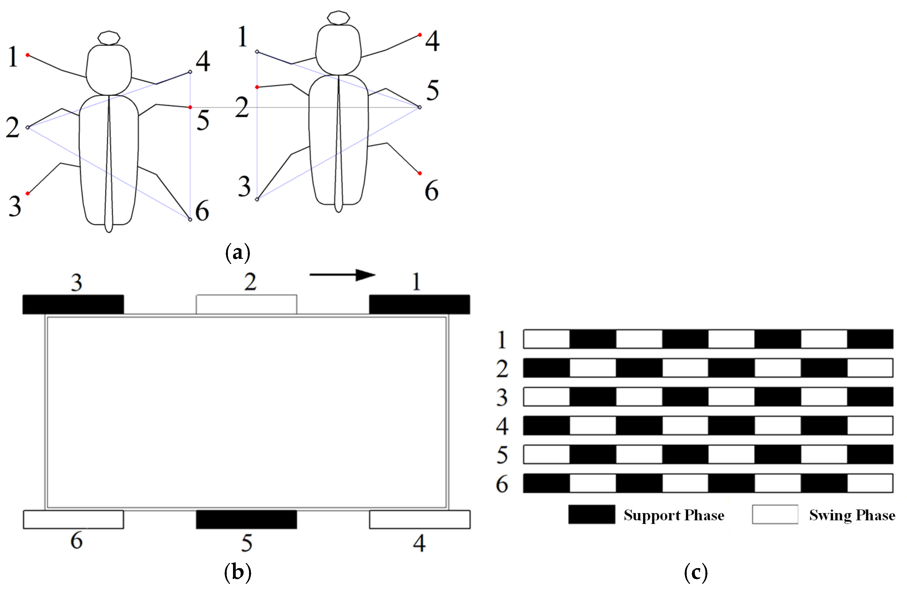 Biomimetics 11 00133 g008