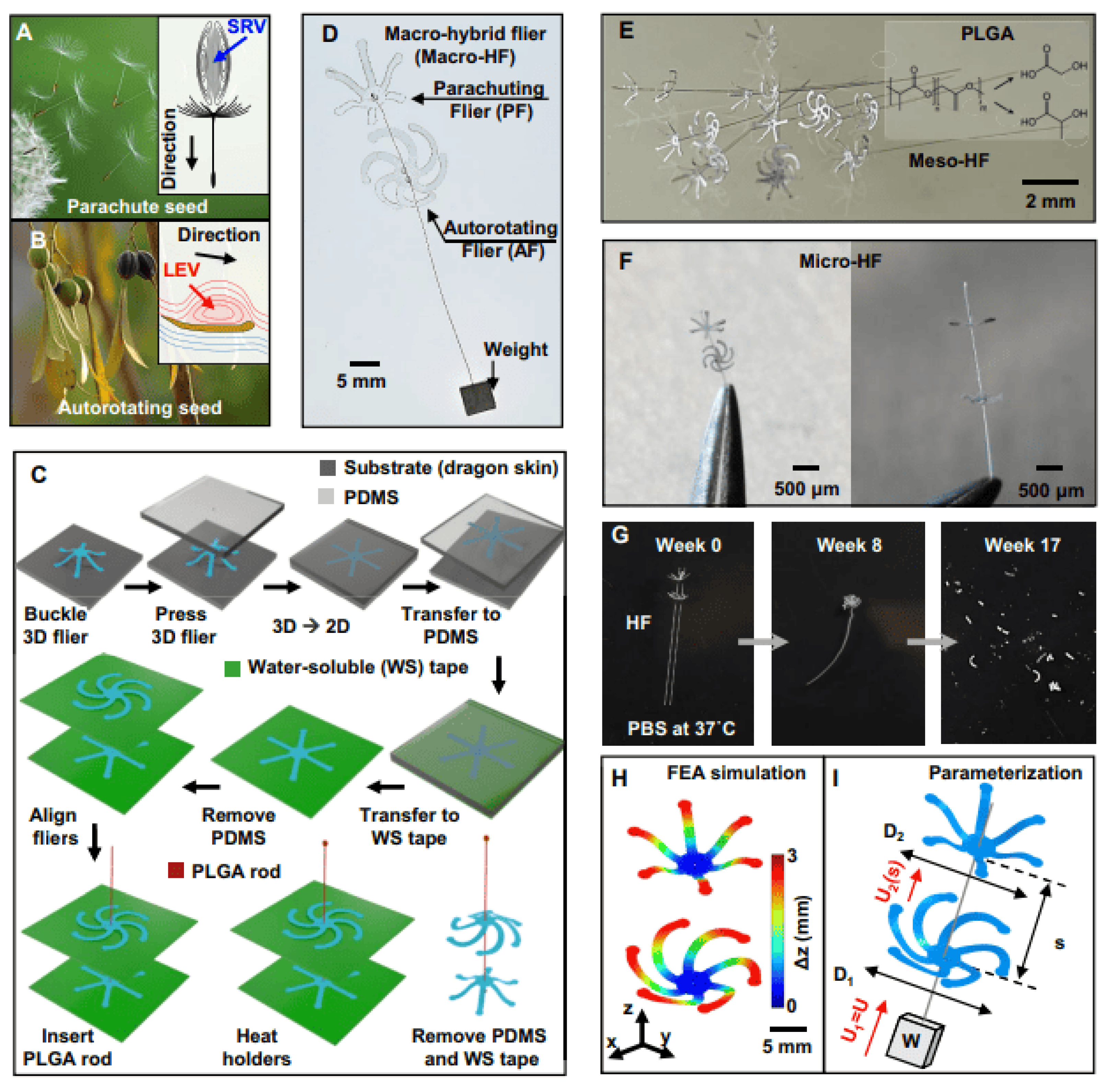 Biomimetics 11 00143 g009 Biomimetics 11 00143 g009
