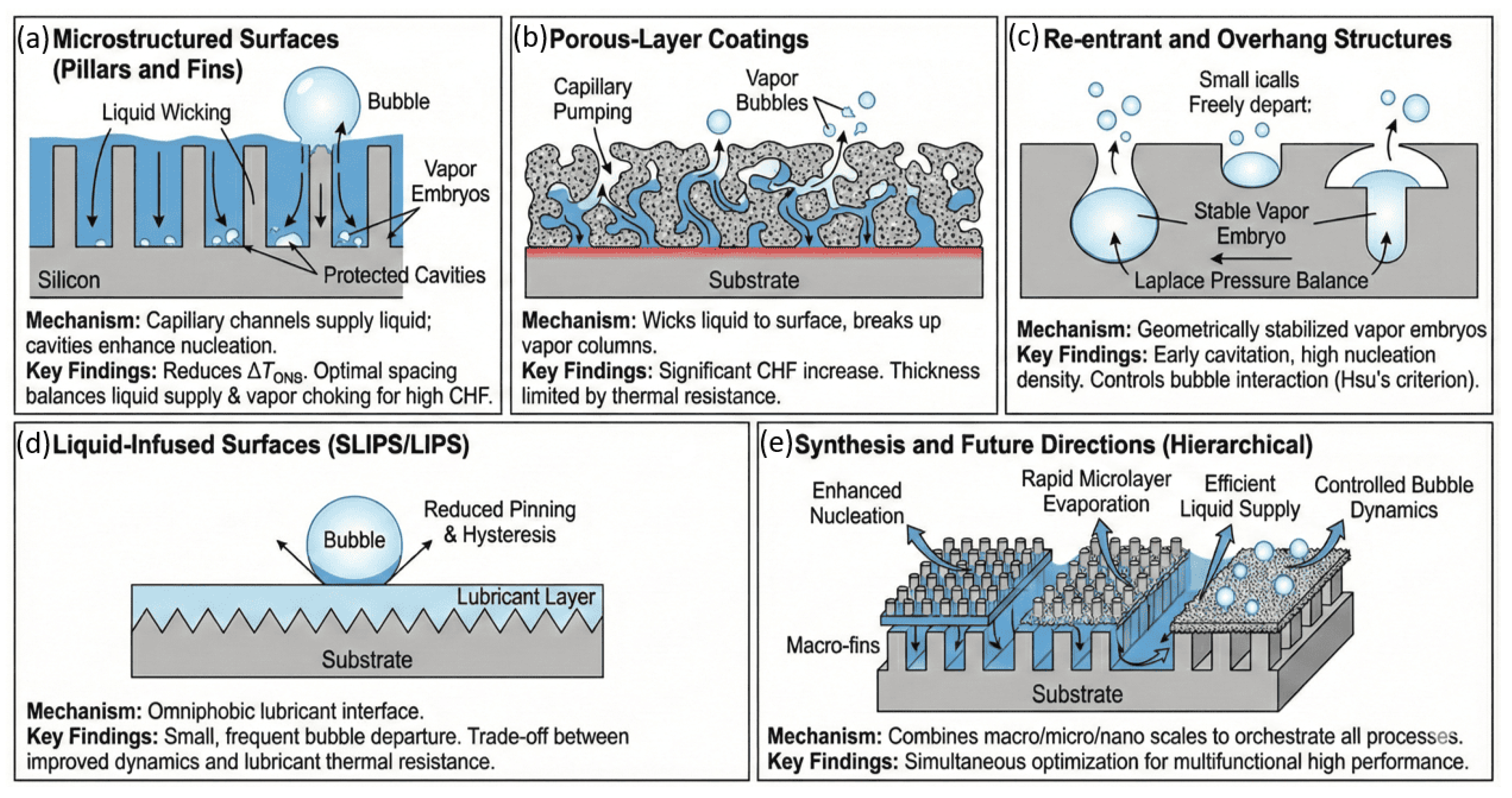 Biomimetics 11 00143 g016 Biomimetics 11 00143 g016