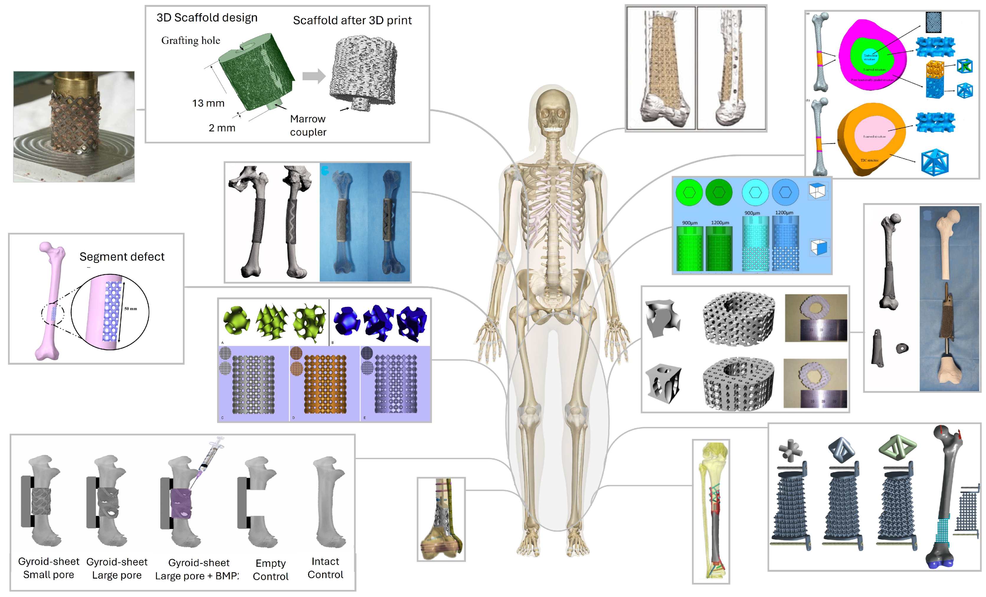 Biomimetics 11 00145 g003 Biomimetics 11 00145 g003
