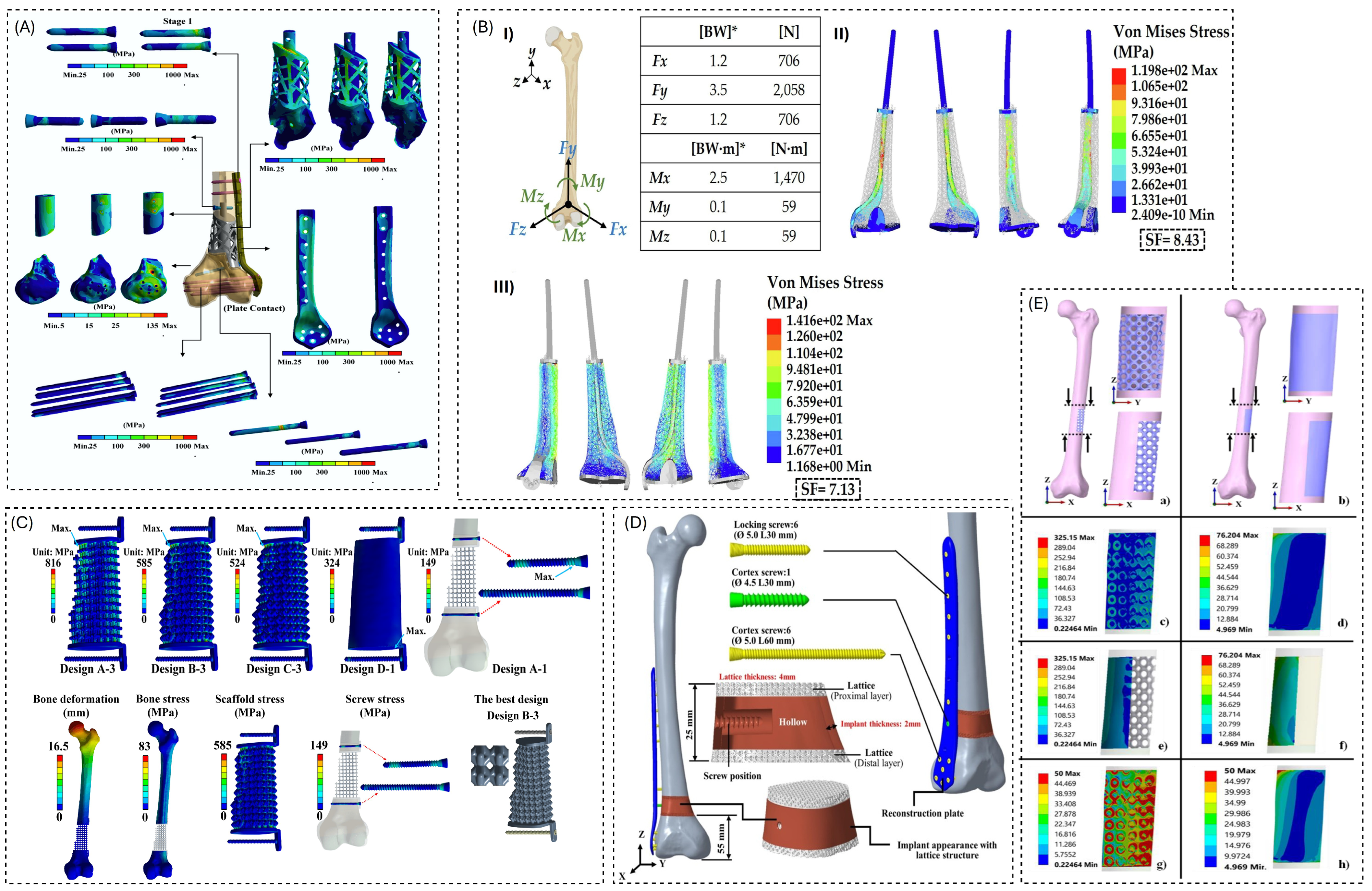 Biomimetics 11 00145 g004 Biomimetics 11 00145 g004