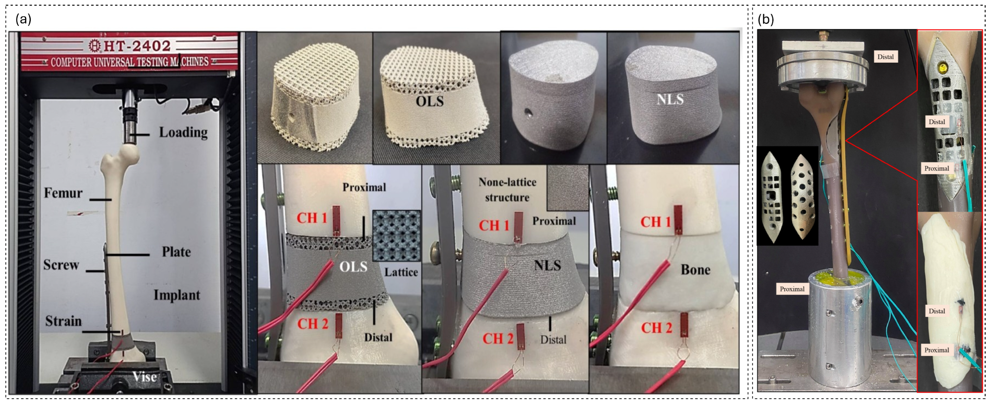 Biomimetics 11 00145 g005 Biomimetics 11 00145 g005