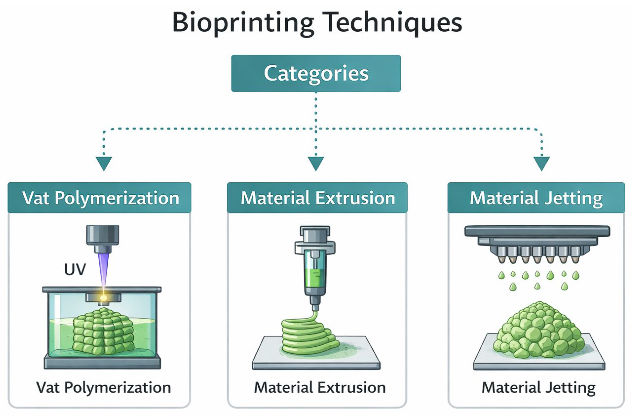 Biomimetics 11 00164 g002
