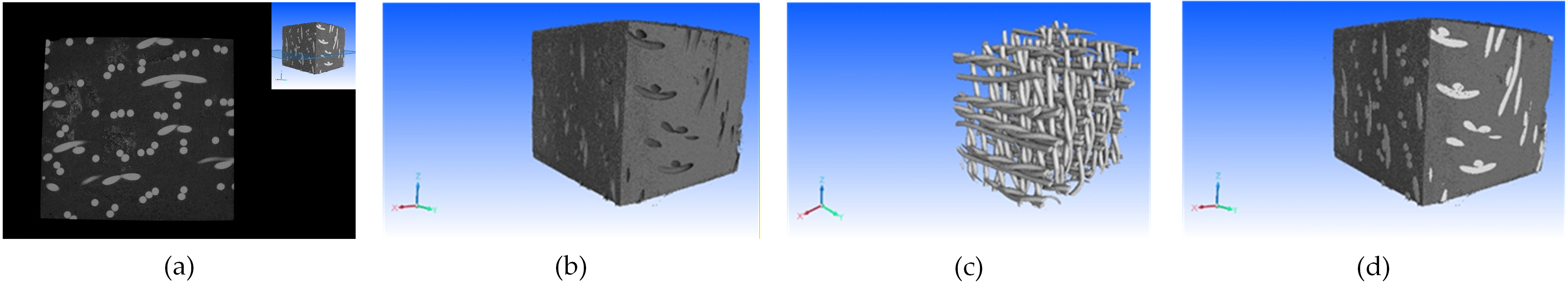 Biomimetics 11 00169 g004