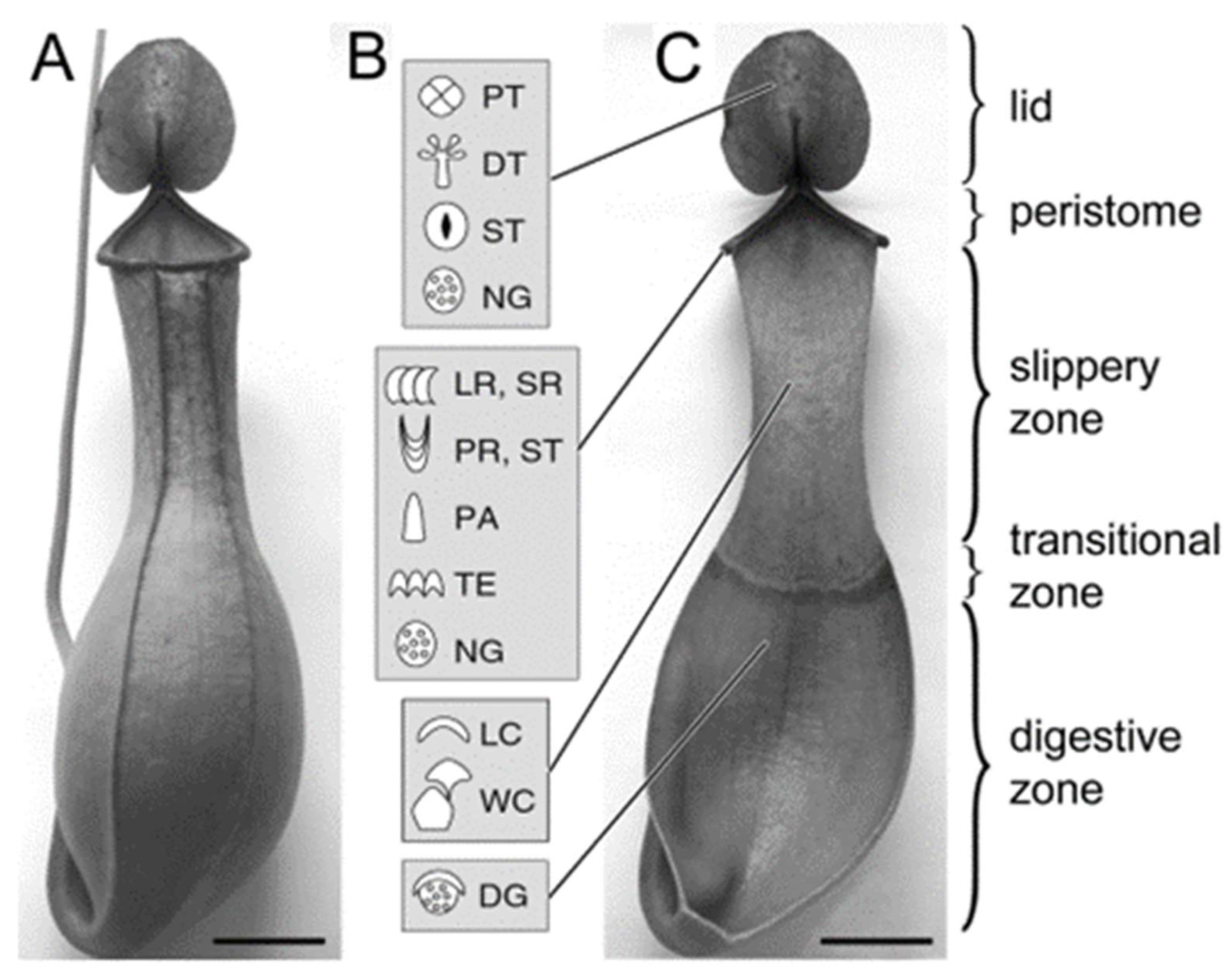 Biomimetics 11 00180 g001 Biomimetics 11 00180 g001