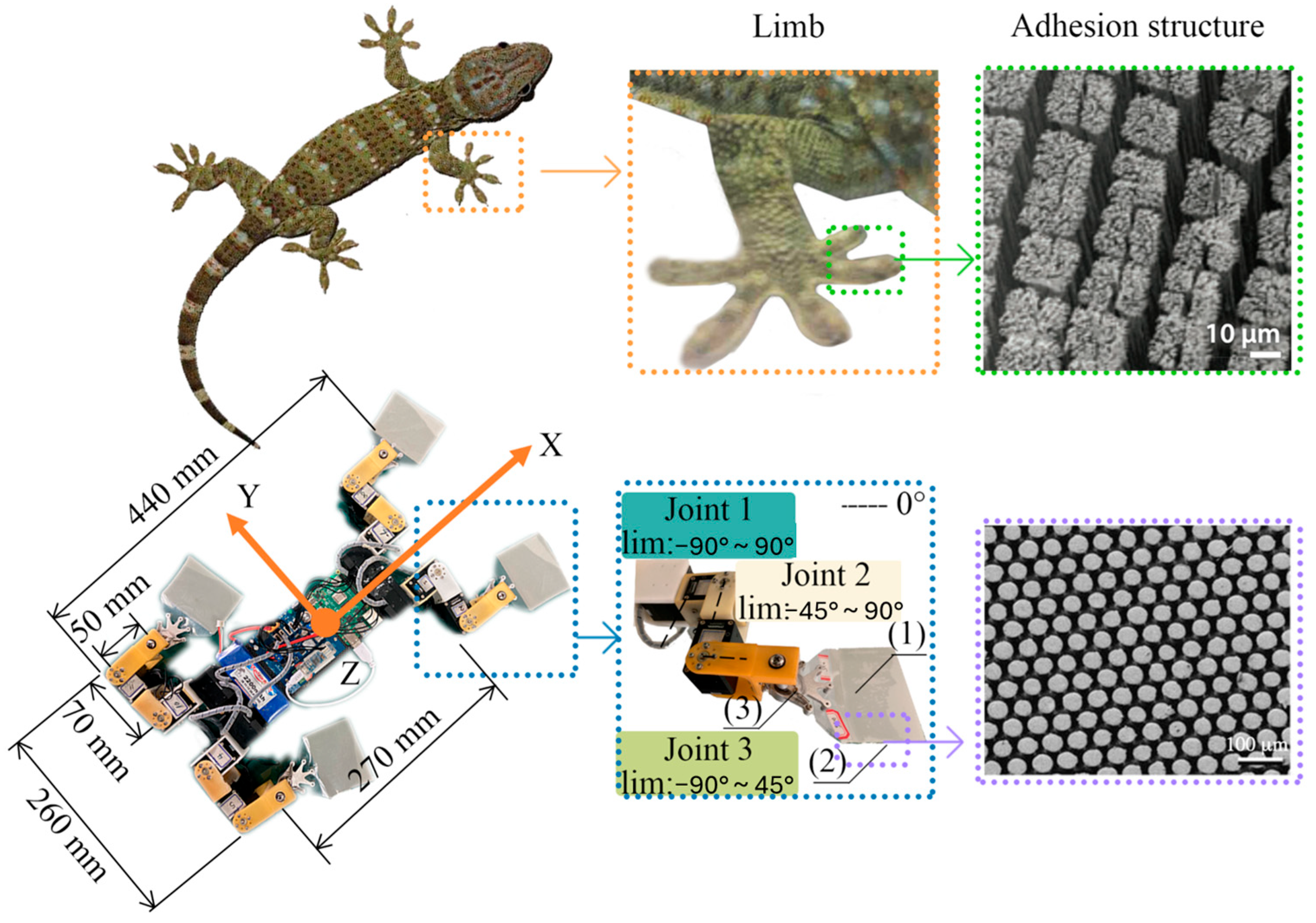 Biomimetics 11 00181 g006 Biomimetics 11 00181 g006
