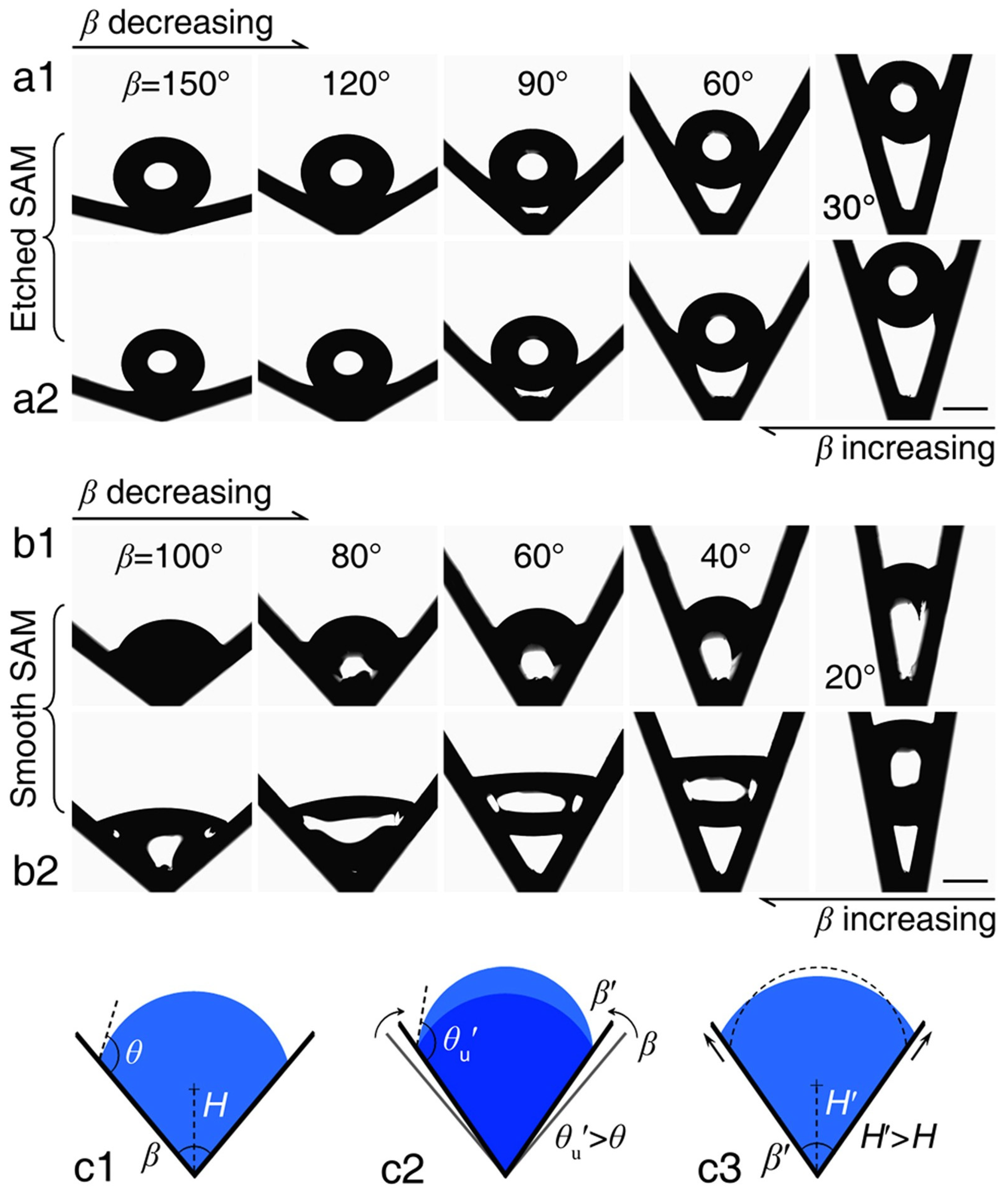 Biomimetics 11 00181 g007 Biomimetics 11 00181 g007