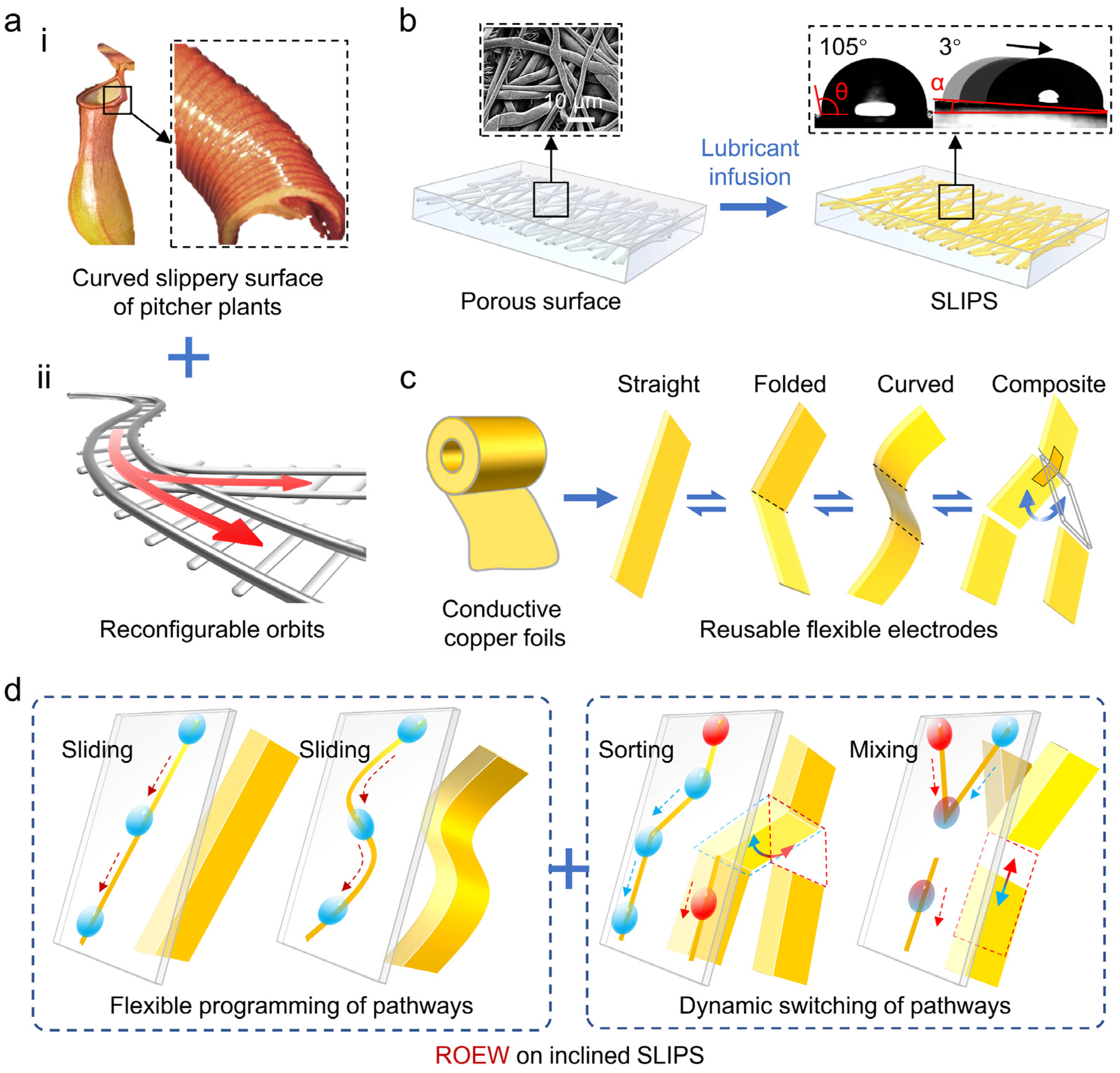 Biomimetics 11 00181 g010 Biomimetics 11 00181 g010