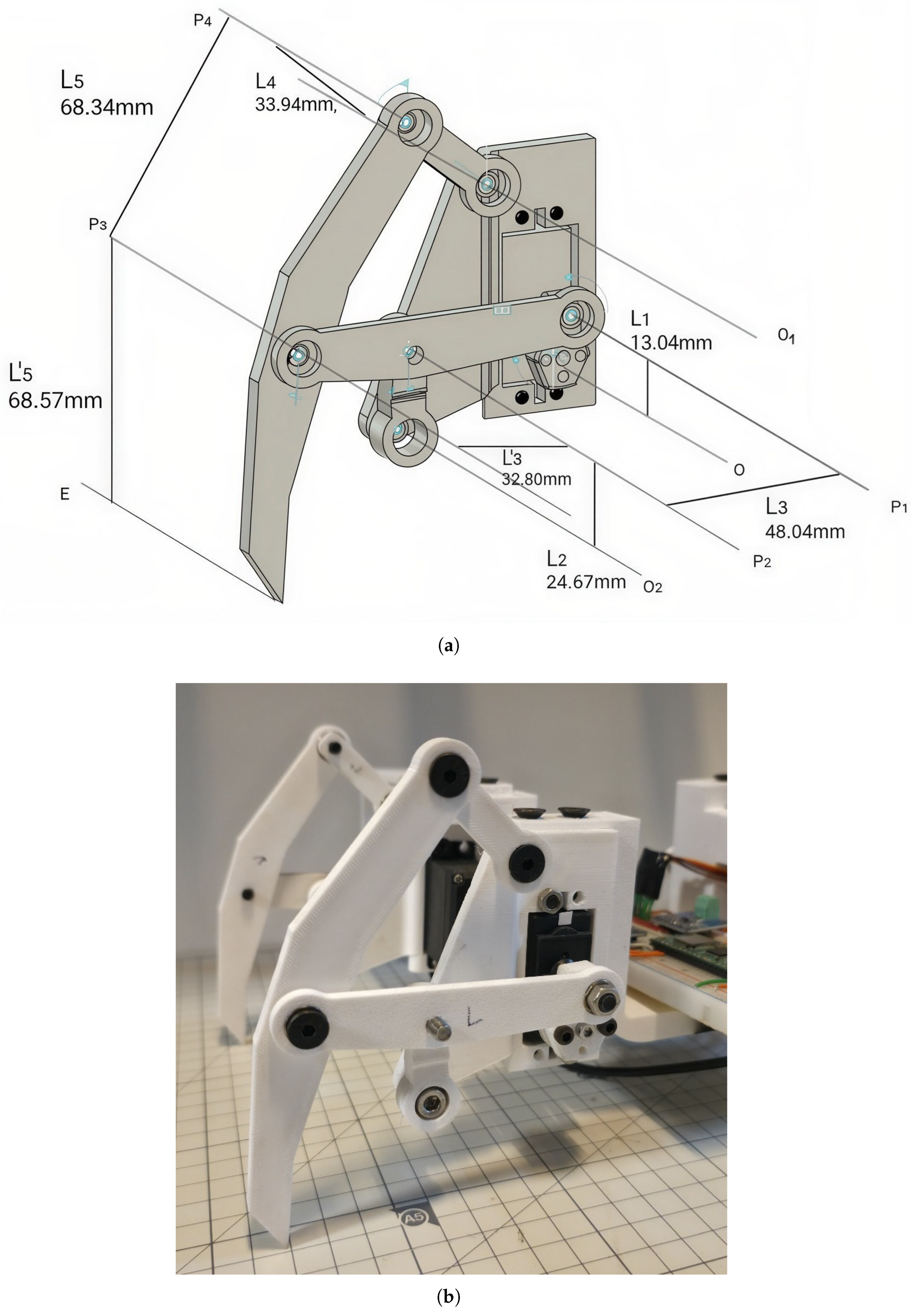 Biomimetics 11 00192 g001