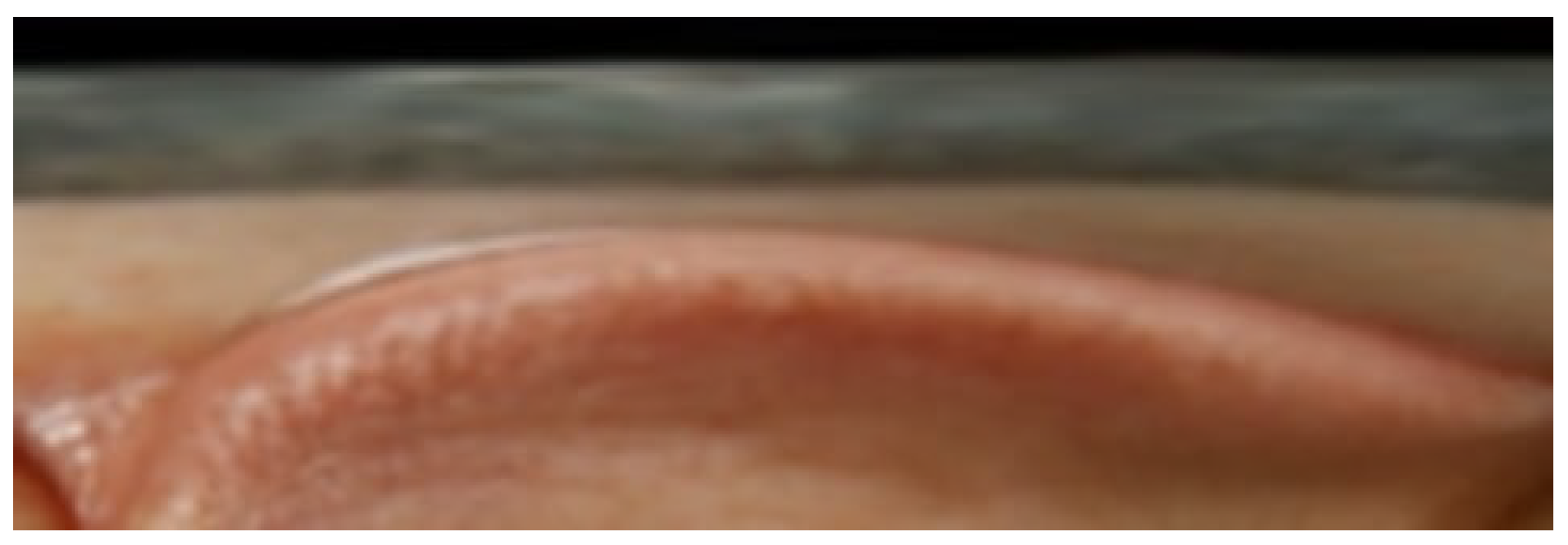 Biomimetics 11 00210 g009