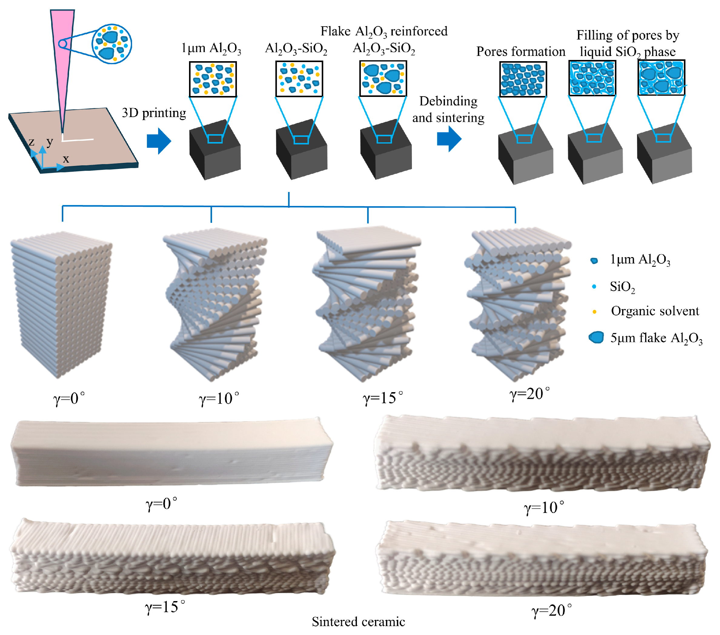 Biomimetics 11 00252 g003