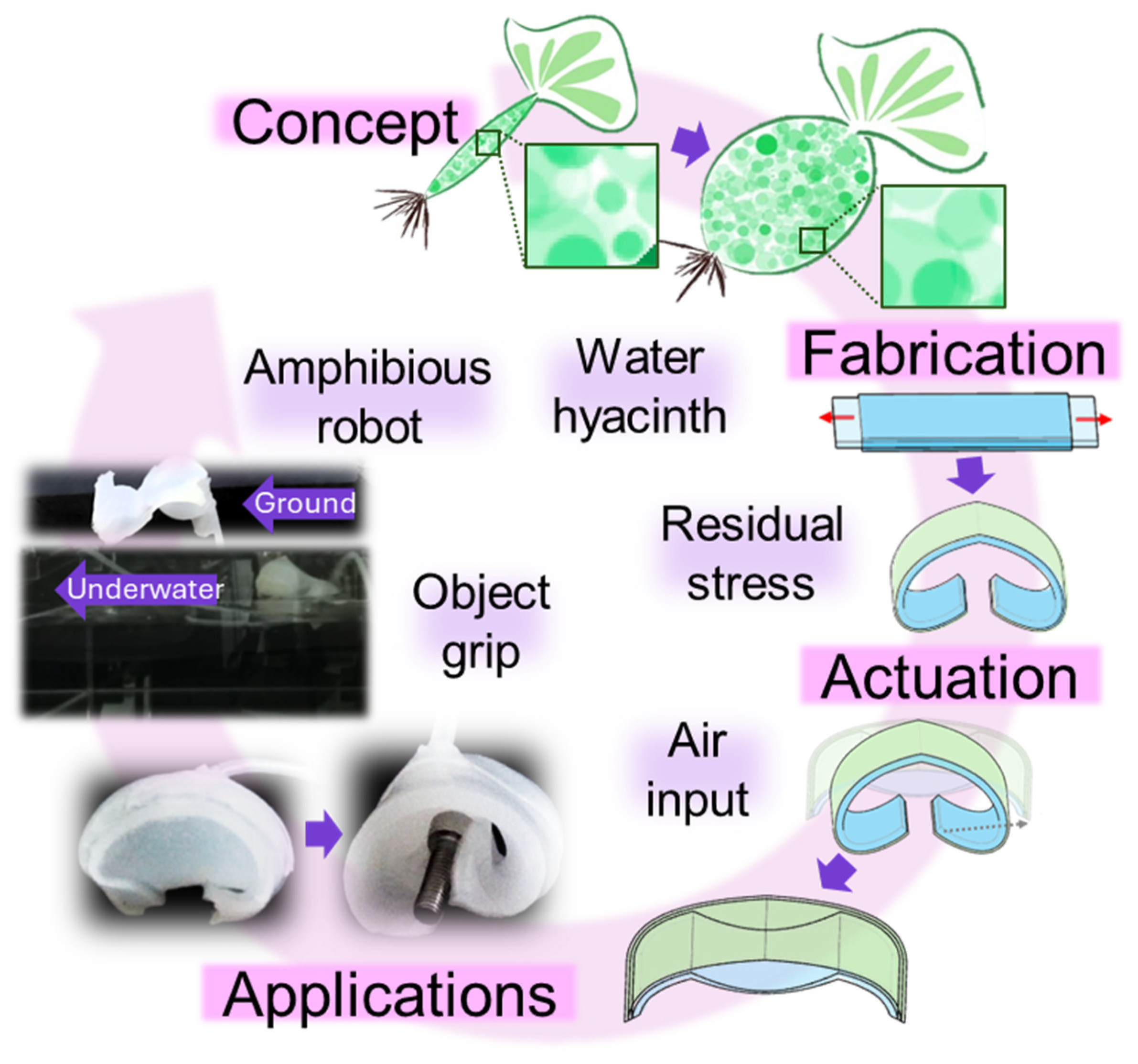 Biomimetics 11 00317 g001 Biomimetics 11 00317 g001