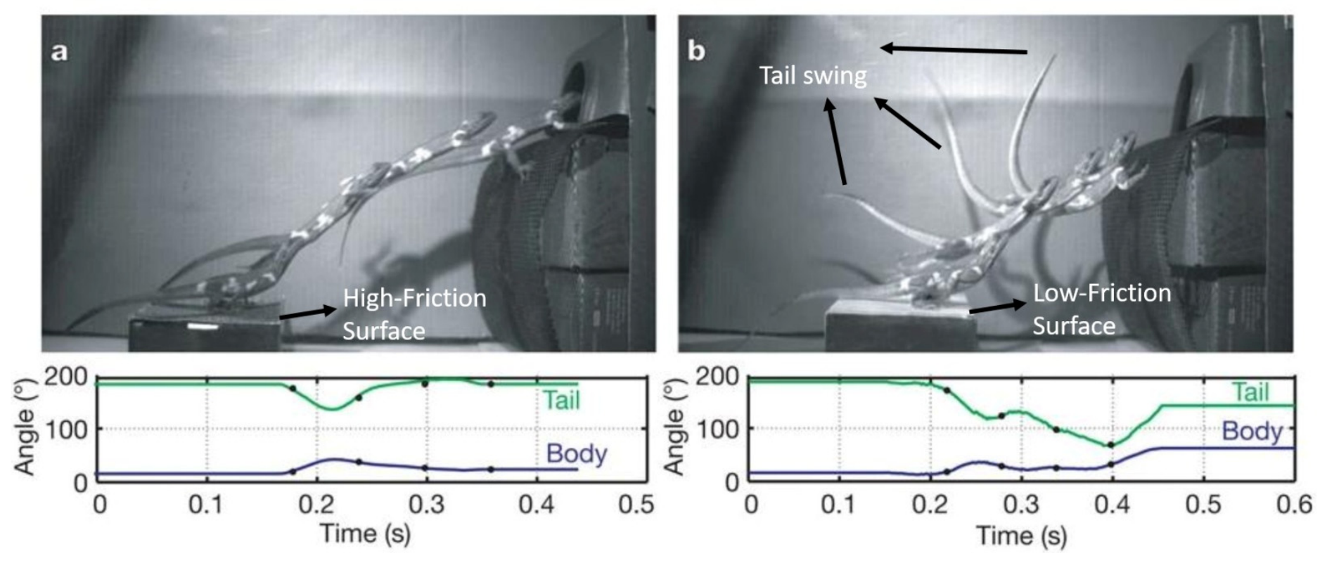 Biomimetics 11 00328 g001