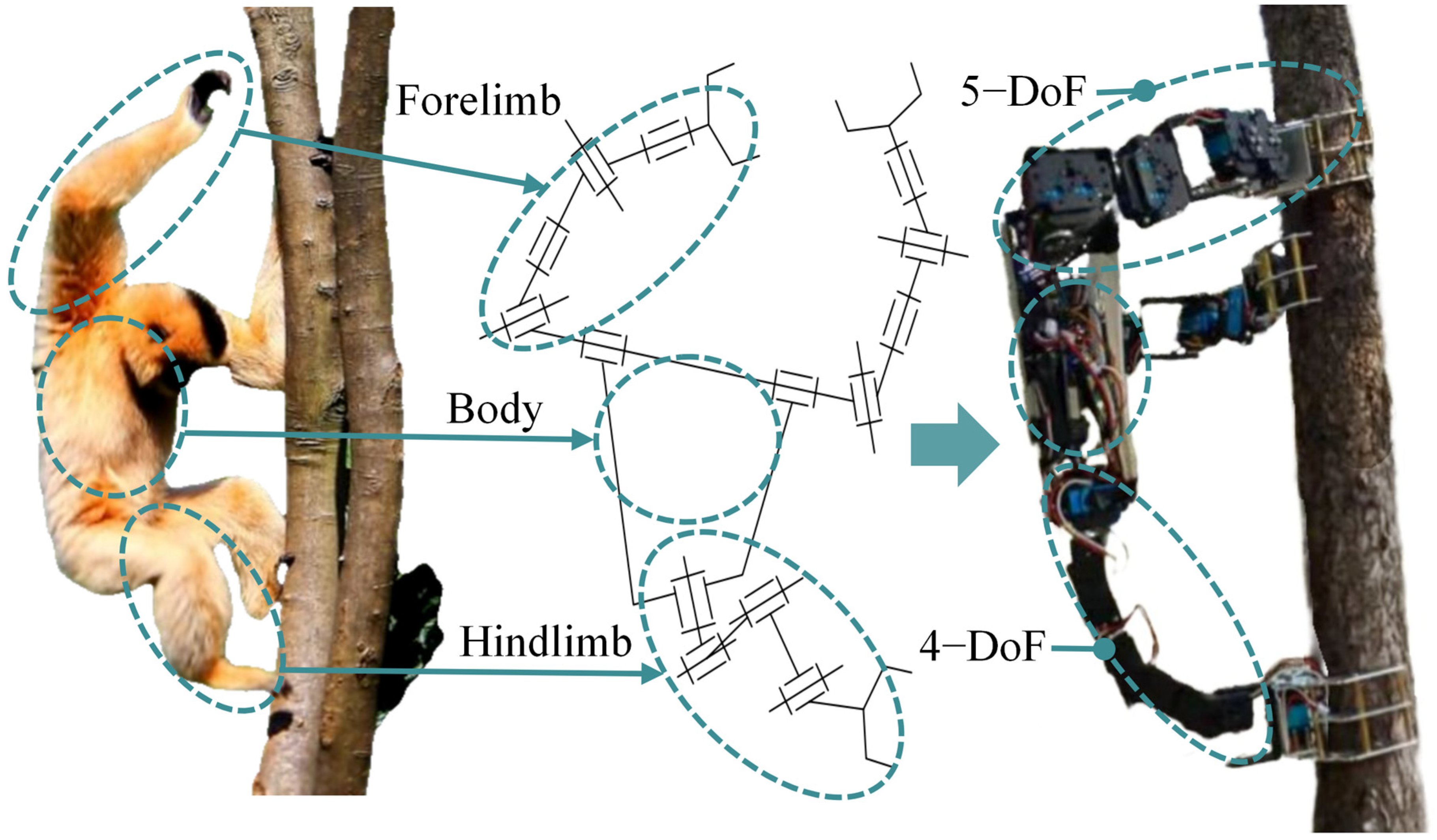 Biomimetics 11 00332 g001