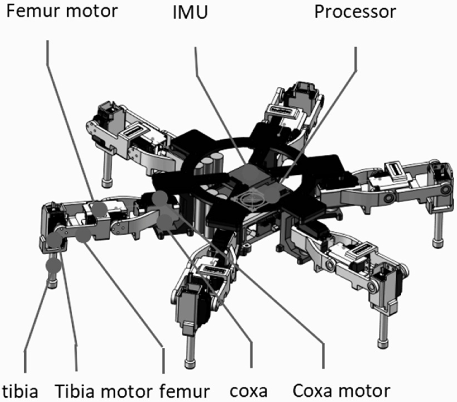Biomimetics 11 00352 g001
