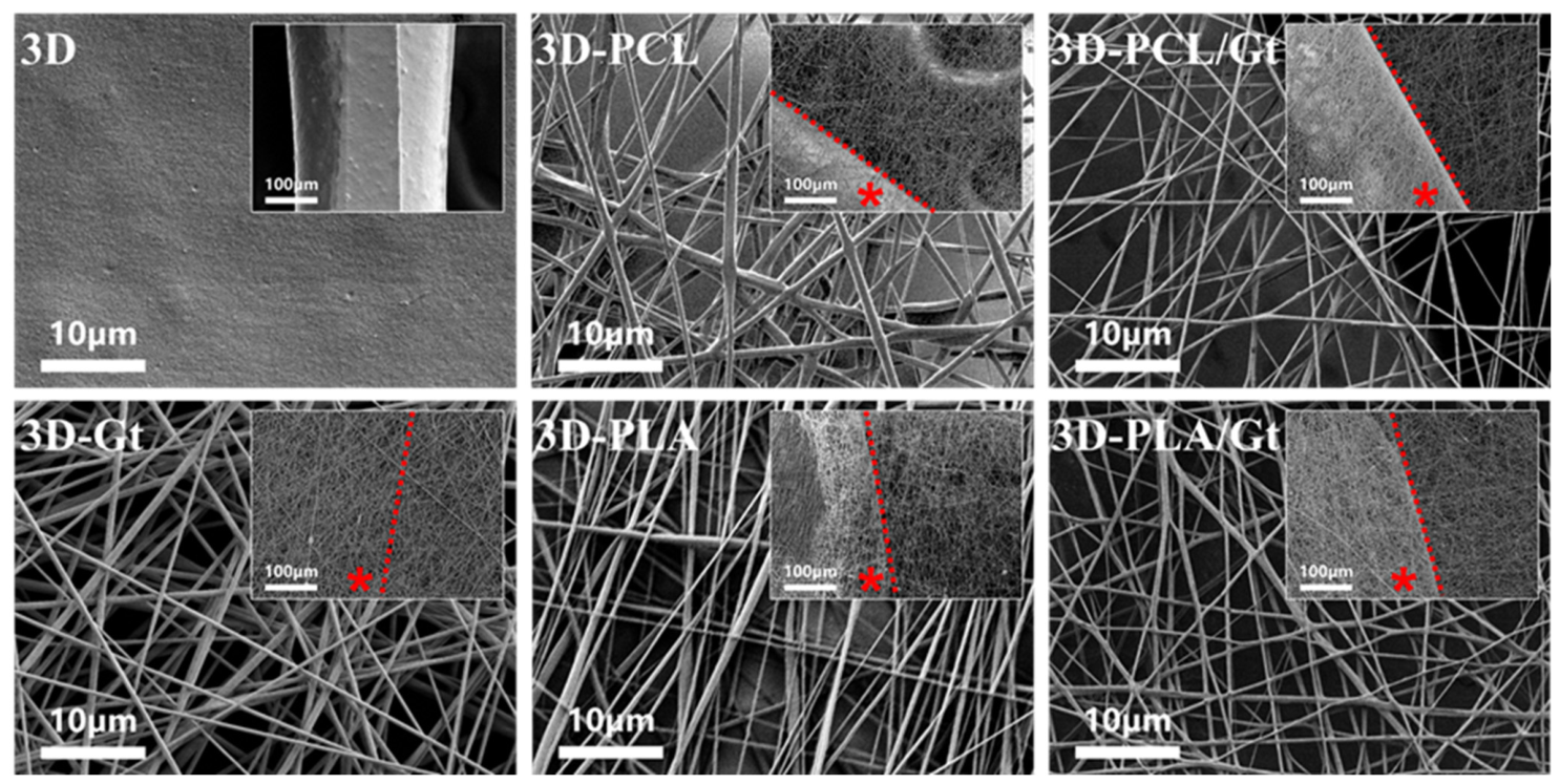 Biomimetics 11 00356 g003 Biomimetics 11 00356 g003