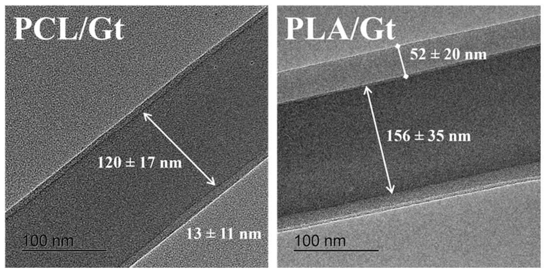 Biomimetics 11 00356 g004 Biomimetics 11 00356 g004