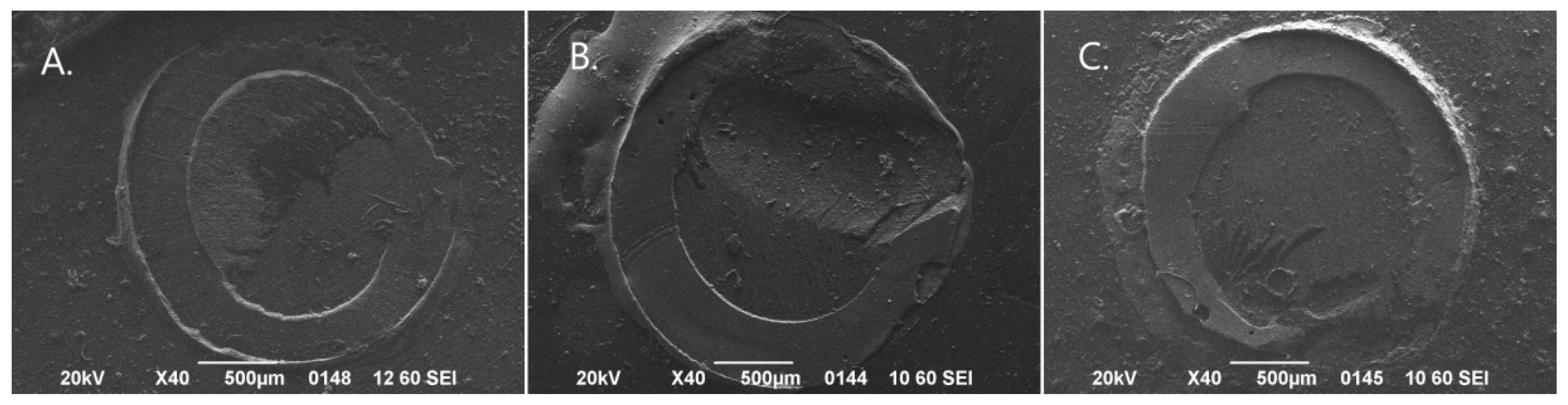 Biomimetics 11 00358 g003