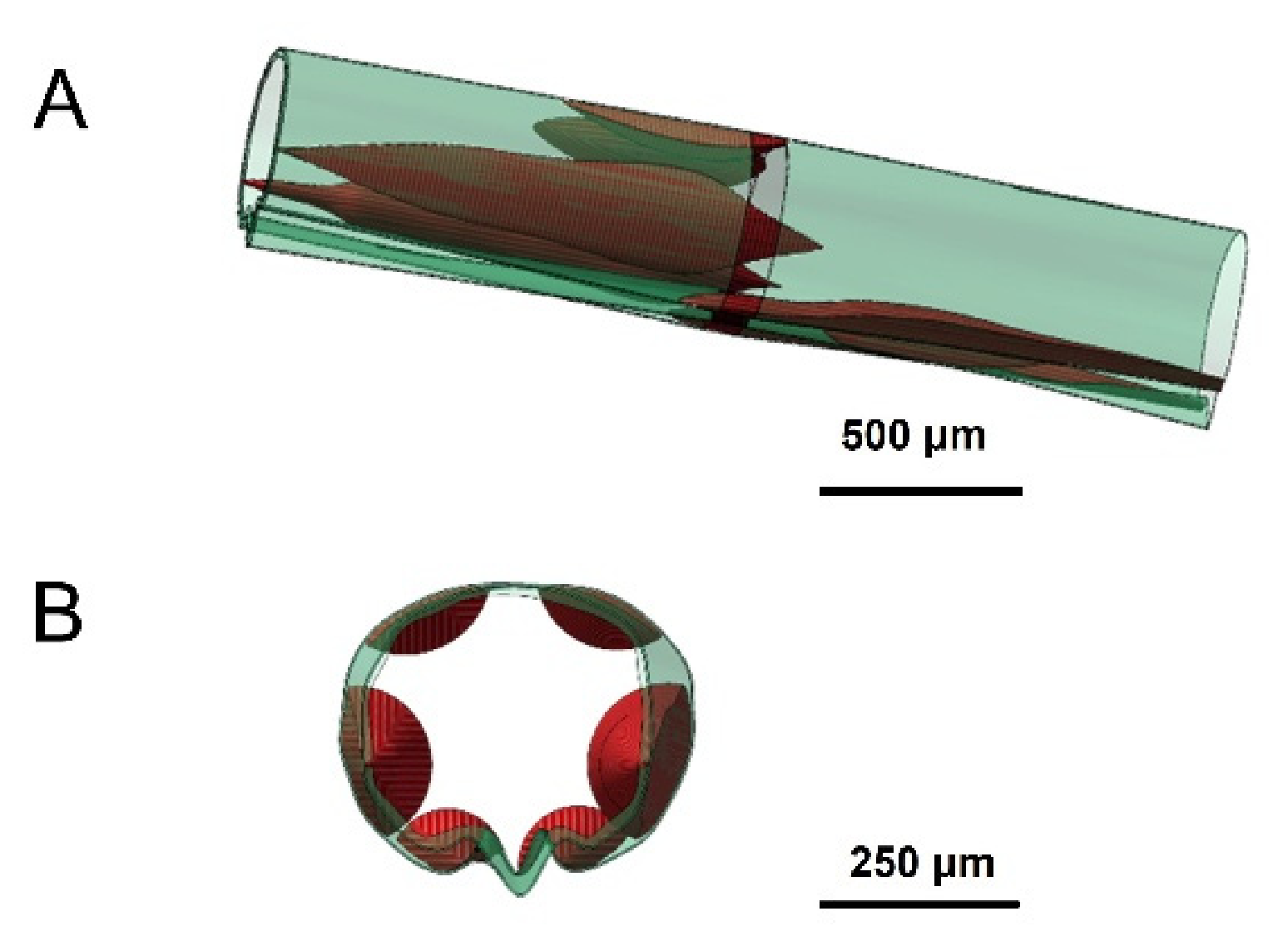 Biomimetics 11 00391 g006