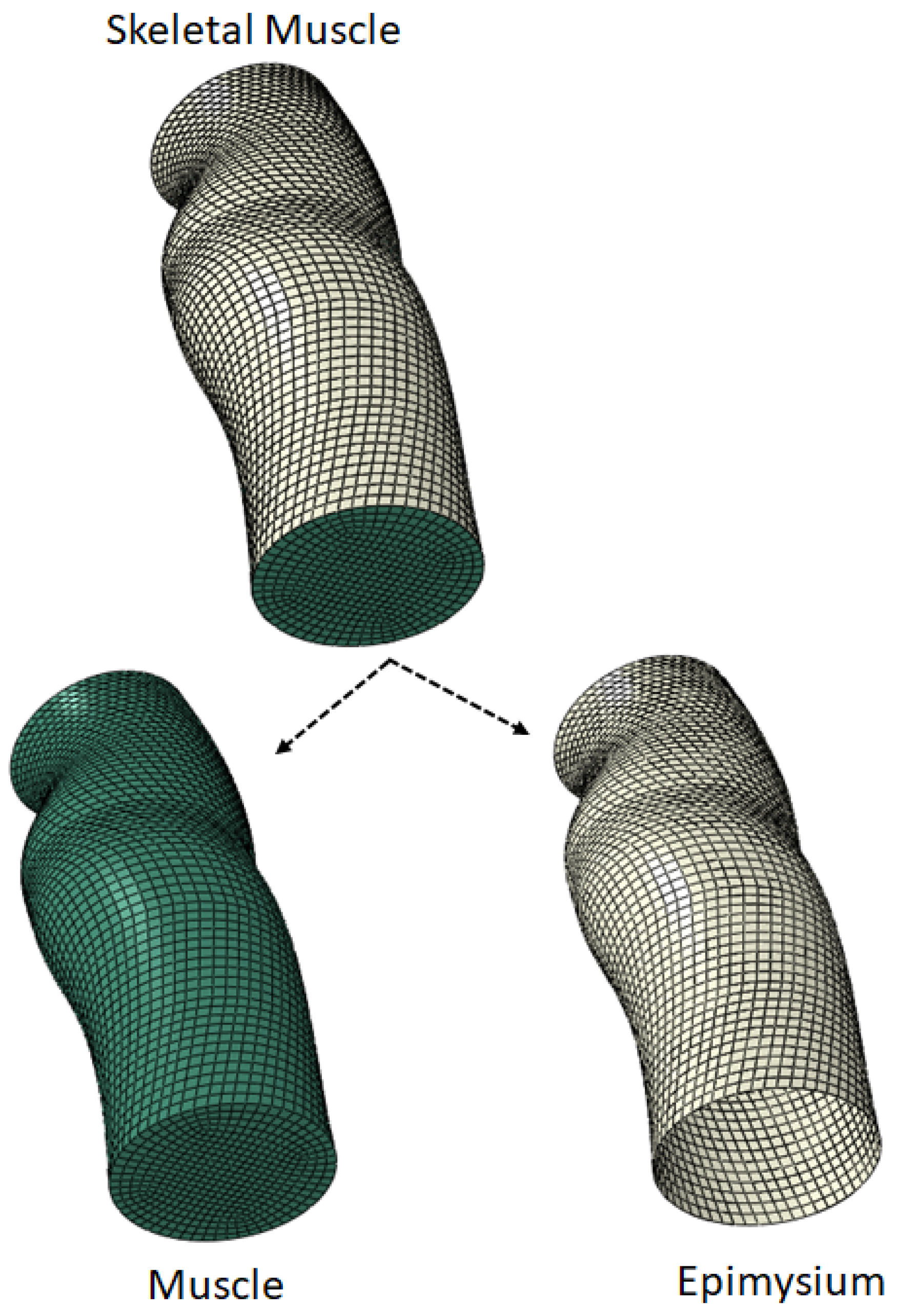 Biomimetics 11 00396 g007