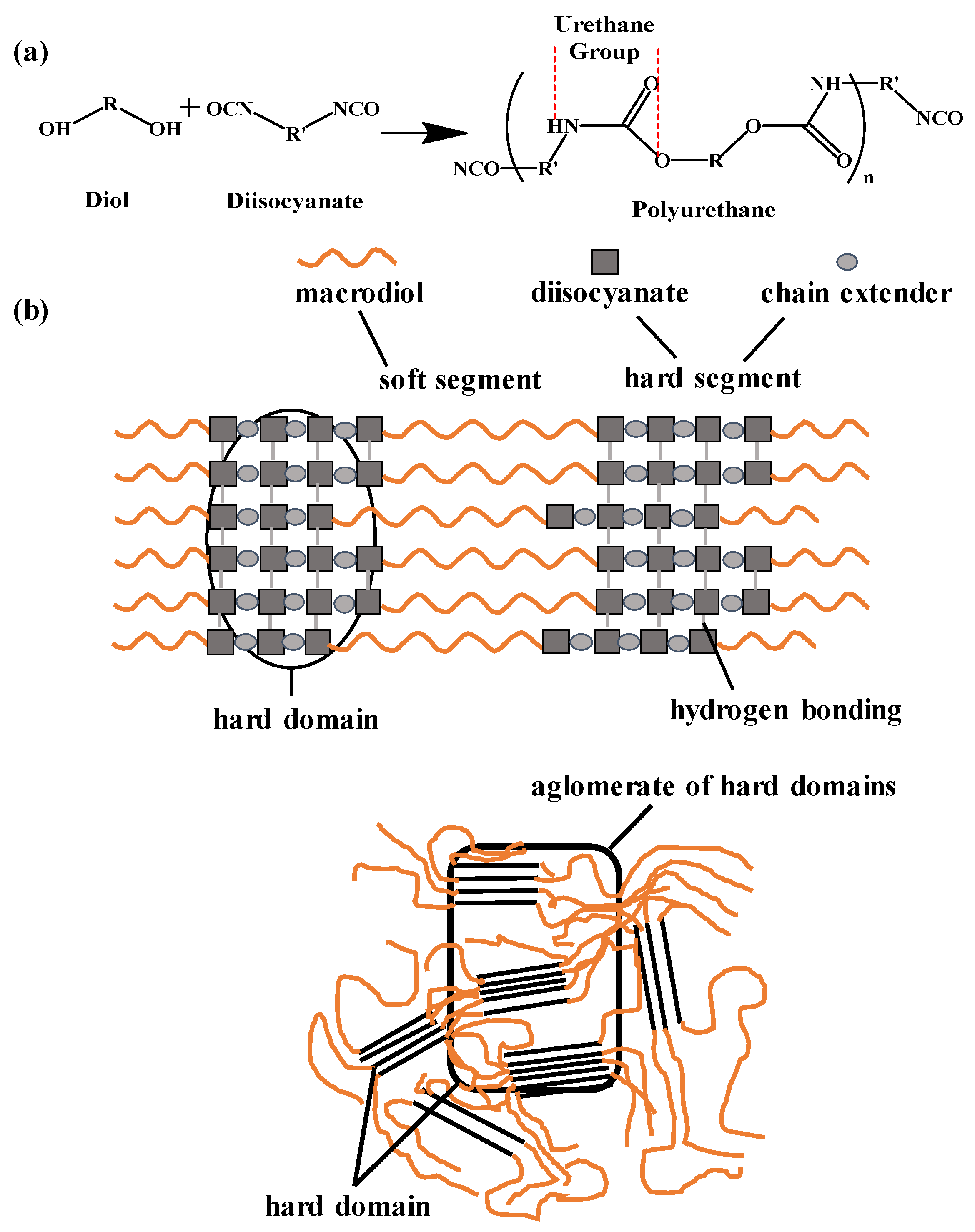 Biomimetics 11 00491 g002 Biomimetics 11 00491 g002