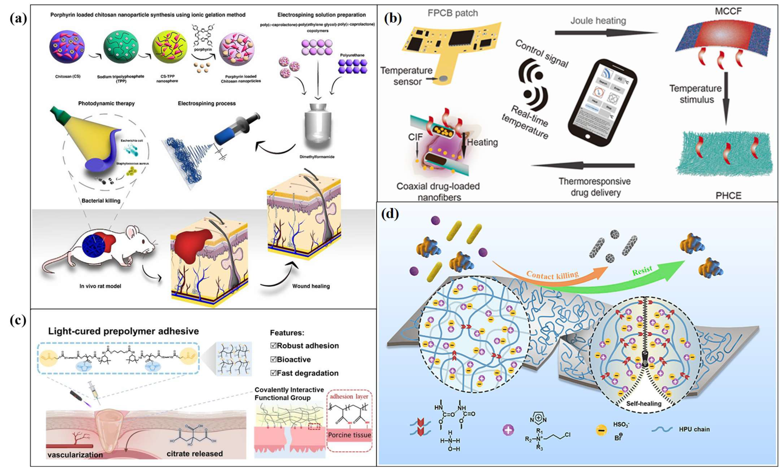Biomimetics 11 00491 g003 Biomimetics 11 00491 g003