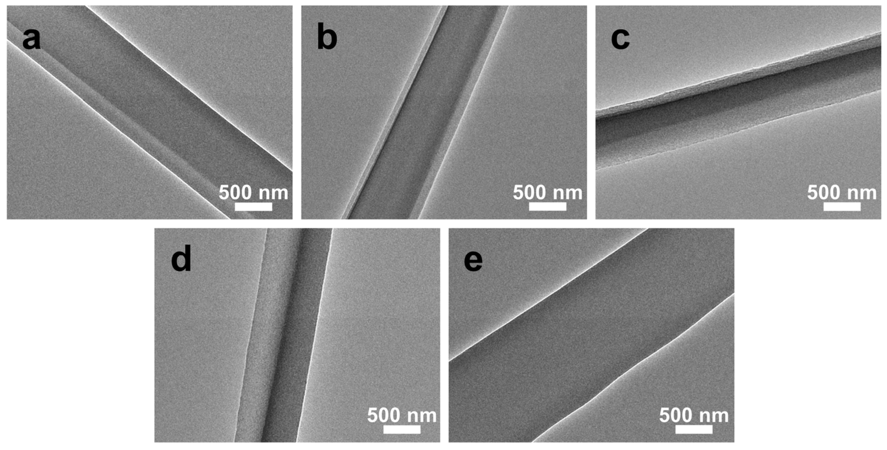 Biomimetics 11 00599 g004