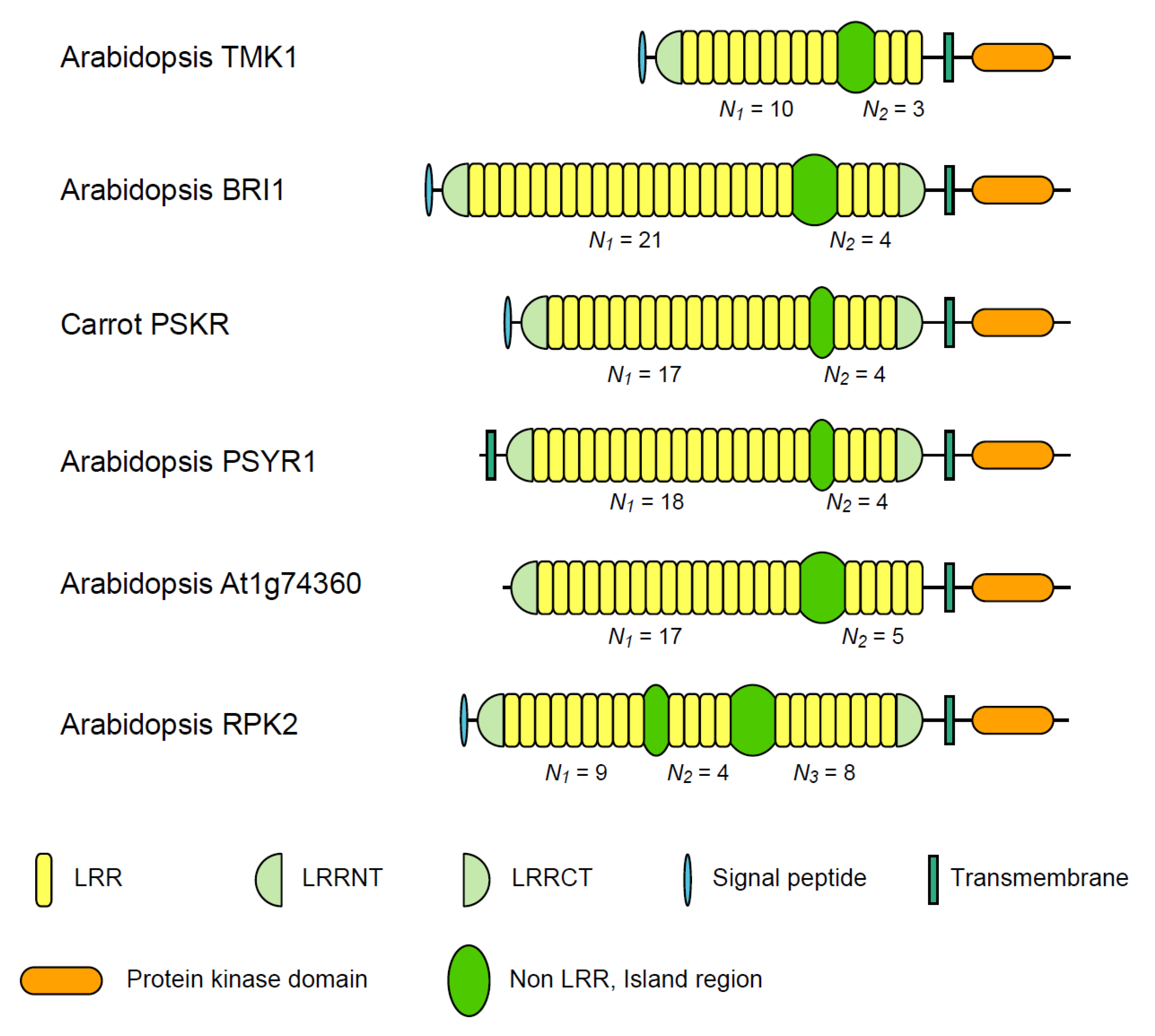 Biomolecules 02 00288 g002